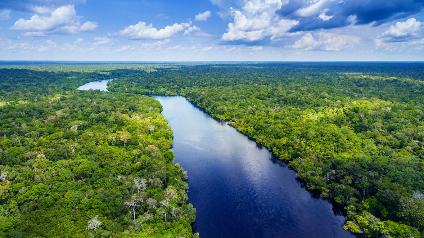 Die Abholzung im Amazonas-Gebiet hat sich in diesem Jahr deutlich verlangsamt. Die abgeholzte Fläche entspricht zwar immer noch der Größe von Puerto Rico, ist aber die geringste seit Beginn der satellitengestützten Entwaldungsaufzeichnungen im Jahr 2019.
