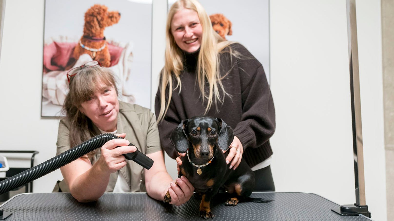Hunde-Spa für Wiens Influencer-Wauzis und fesche Dackel