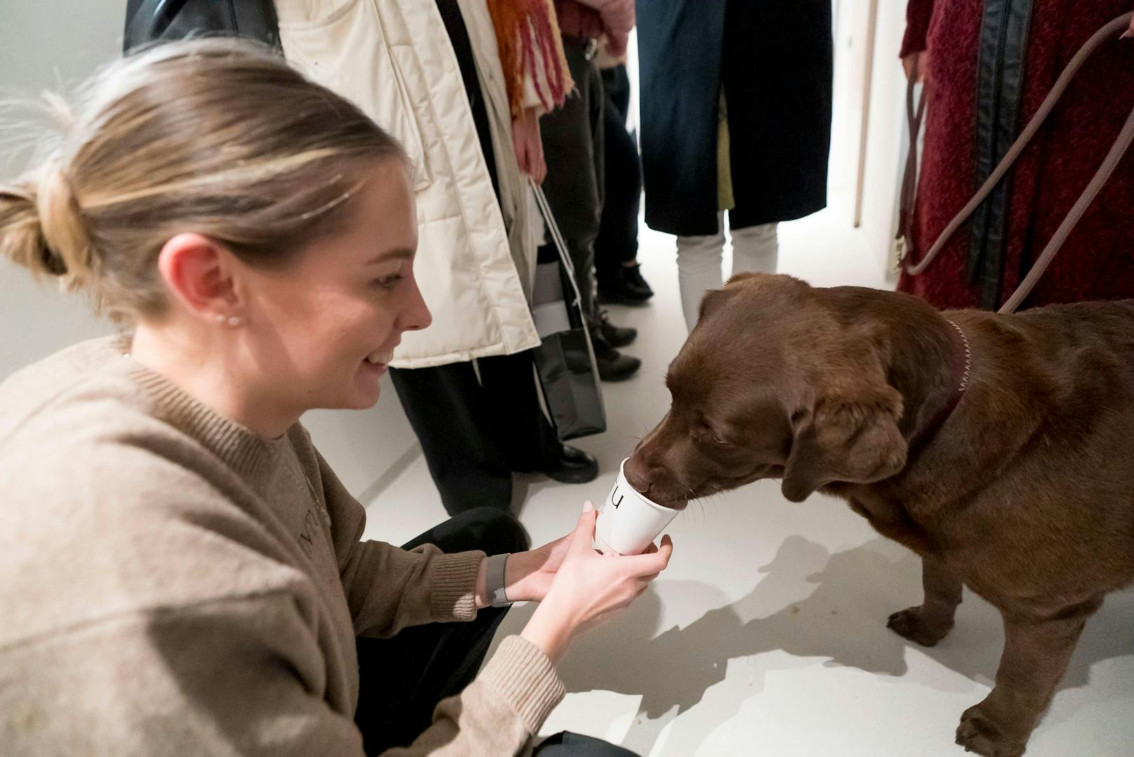 Cappuccino für den Hund - mit Schlagobers ohne Laktose