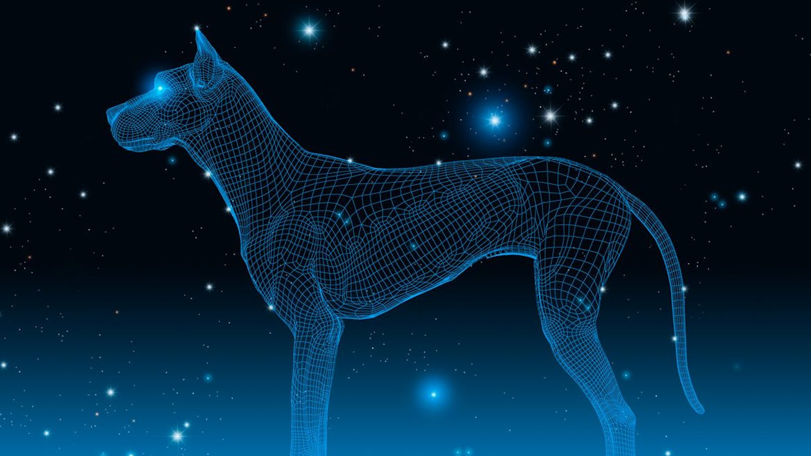 Welche Hunderasse wärst du laut deinem Sternzeichen?