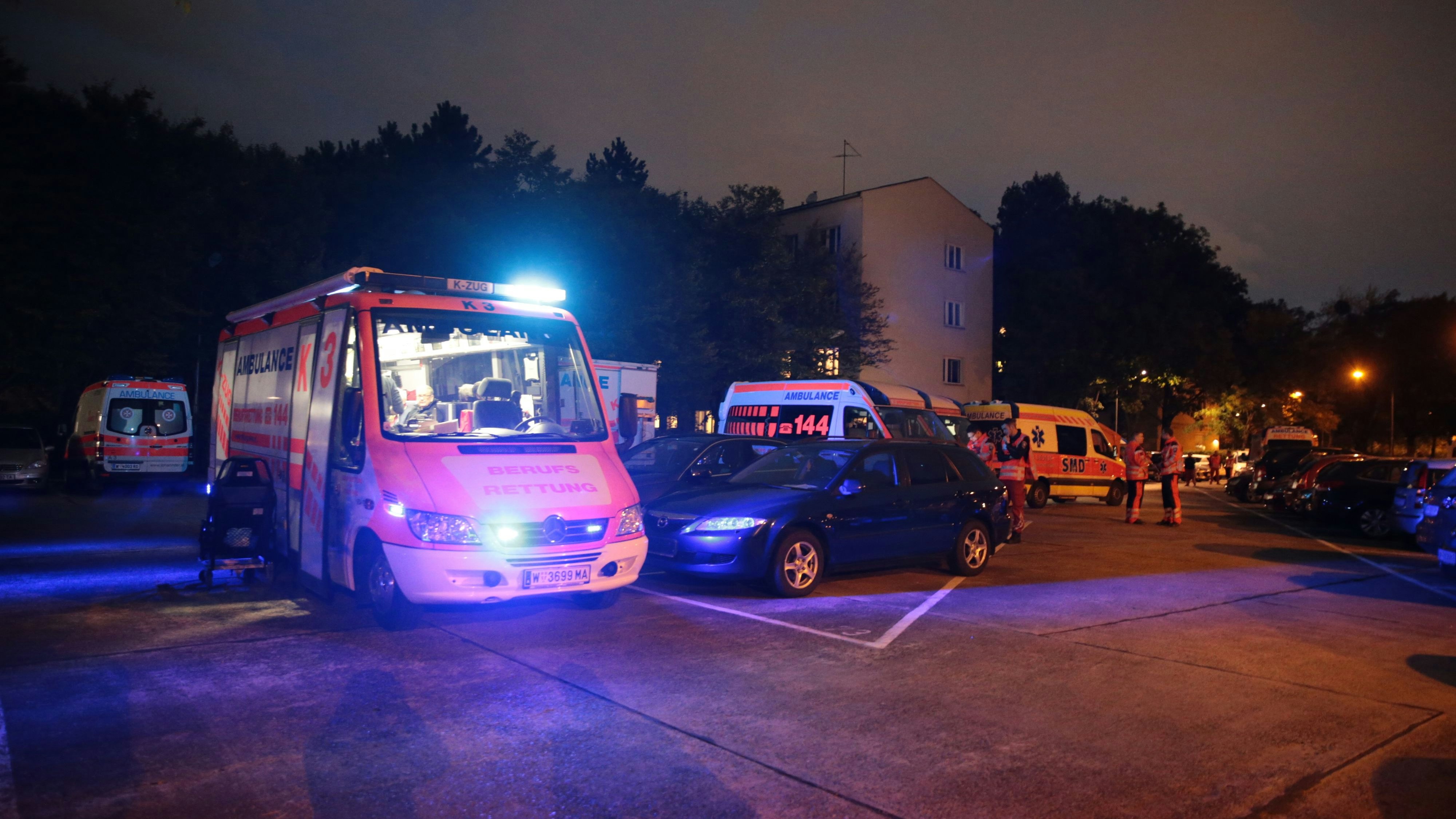 Archivbild eines Rettungseinsatzes in Wien. 