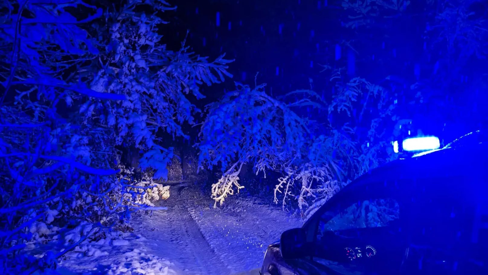 Der Wintereinbruch hat in Österreich nicht nur zu Verkehrsbehinderungen, sondern auch zu mehreren Unfällen geführt.