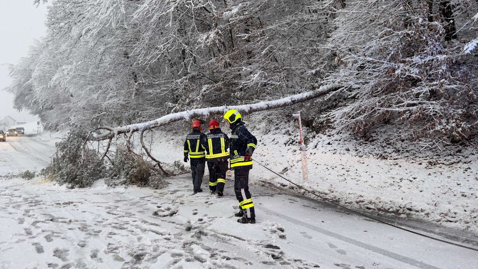 Zahlreiche Einsätze wegen umgestürzter Bäume und hängengebliebenen Fahrzeugen beschäftigen die Feuerwehren in Niederösterreich. Unteranderem auch die Feuerwehr Neustadtl im Bezirk Amstetten. Unzählige Einsätze beschäftigen auch diese unteranderem auf der L91.