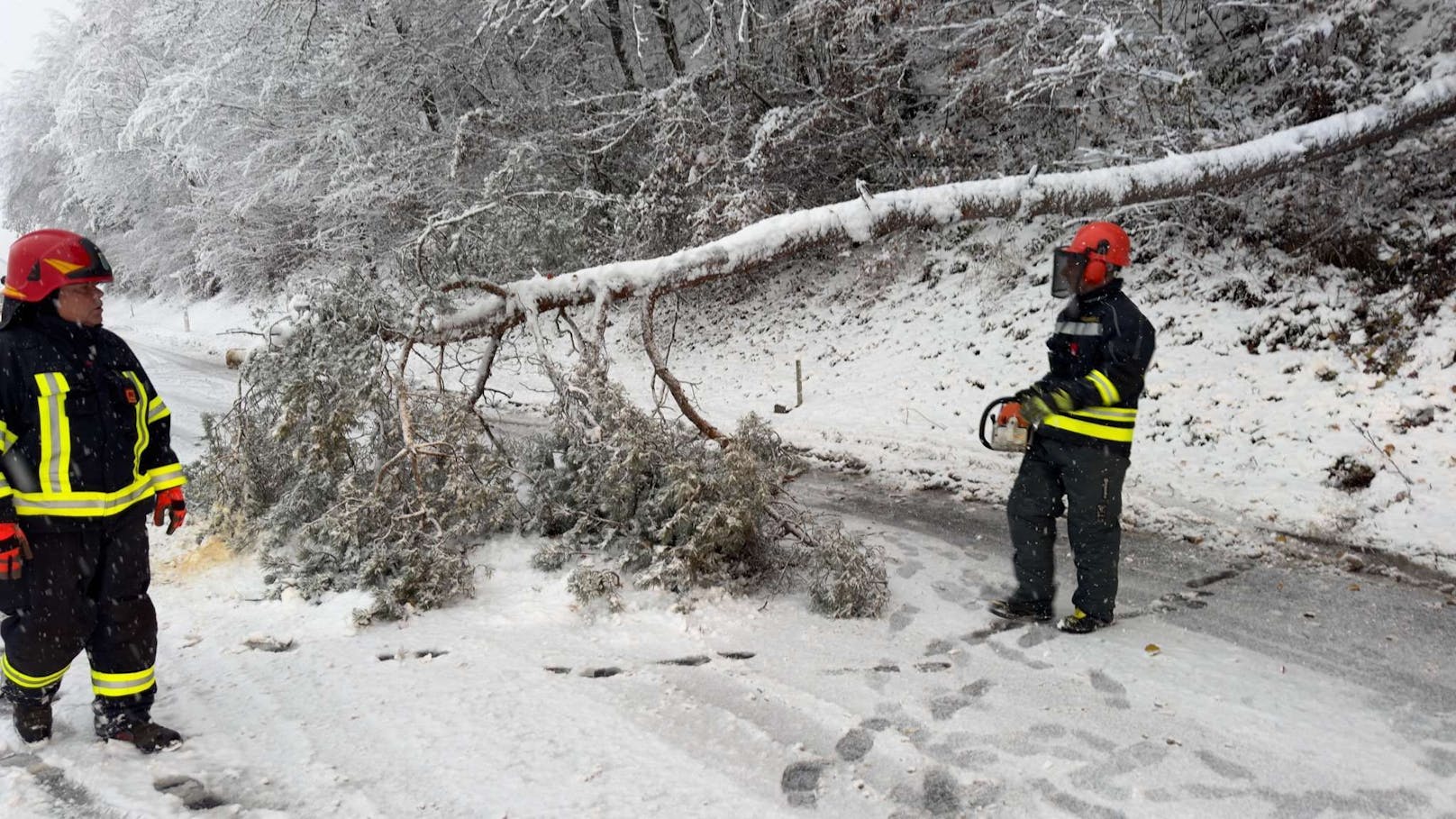 Zahlreiche Einsätze wegen umgestürzter Bäume und hängengebliebenen Fahrzeugen beschäftigen die Feuerwehren in Niederösterreich. Unteranderem auch die Feuerwehr Neustadtl im Bezirk Amstetten. Unzählige Einsätze beschäftigen auch diese unteranderem auf der L91.