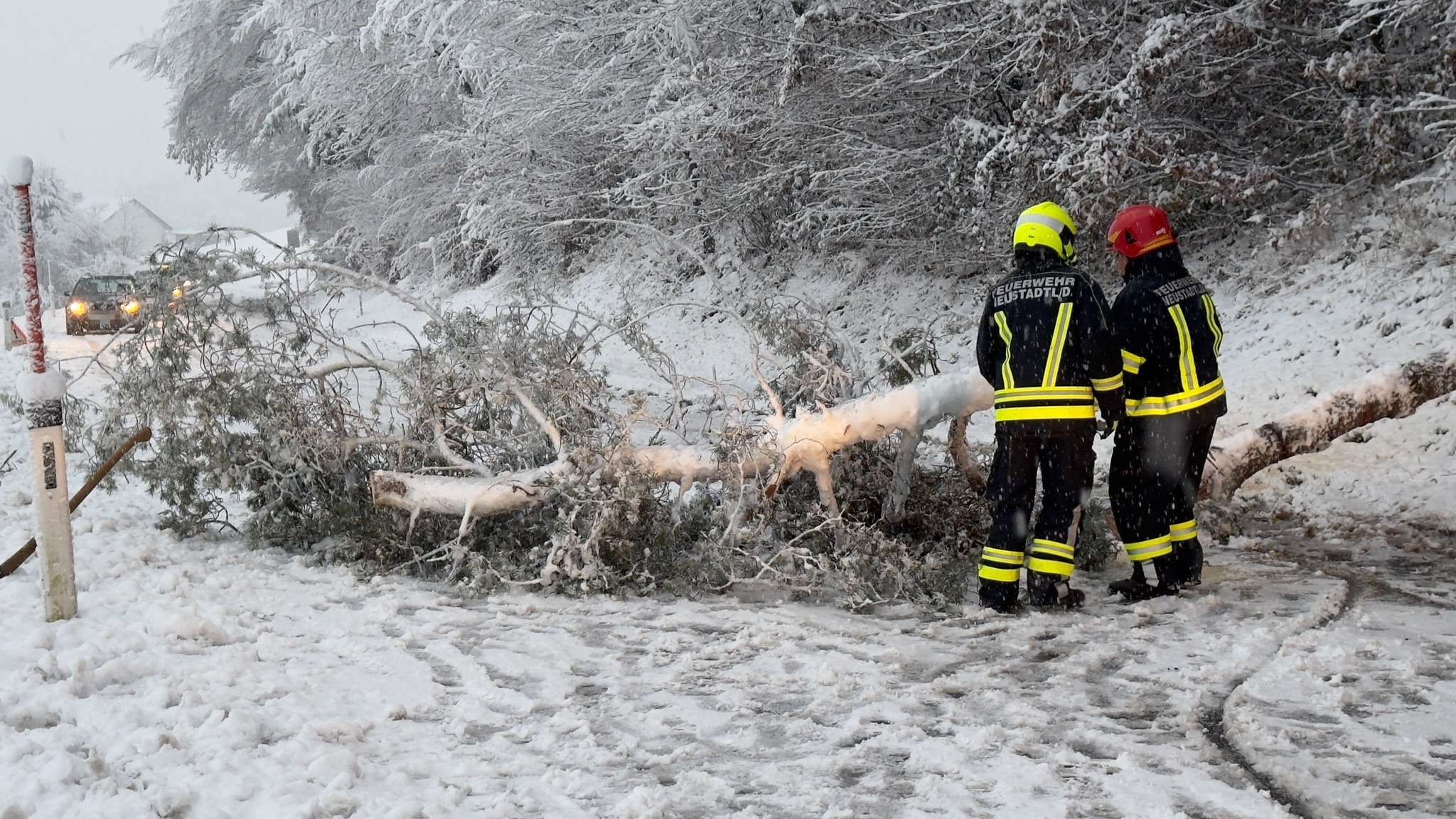 Mehrere Bäume stürzten im Bezirk Villach auf die Straße.