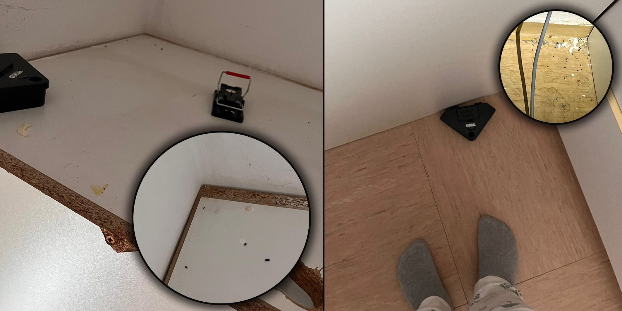 Die Wohnung von Tara* ist voller Mäusekot. Trotzdem erhält die Wienerin keine Unterstützung.