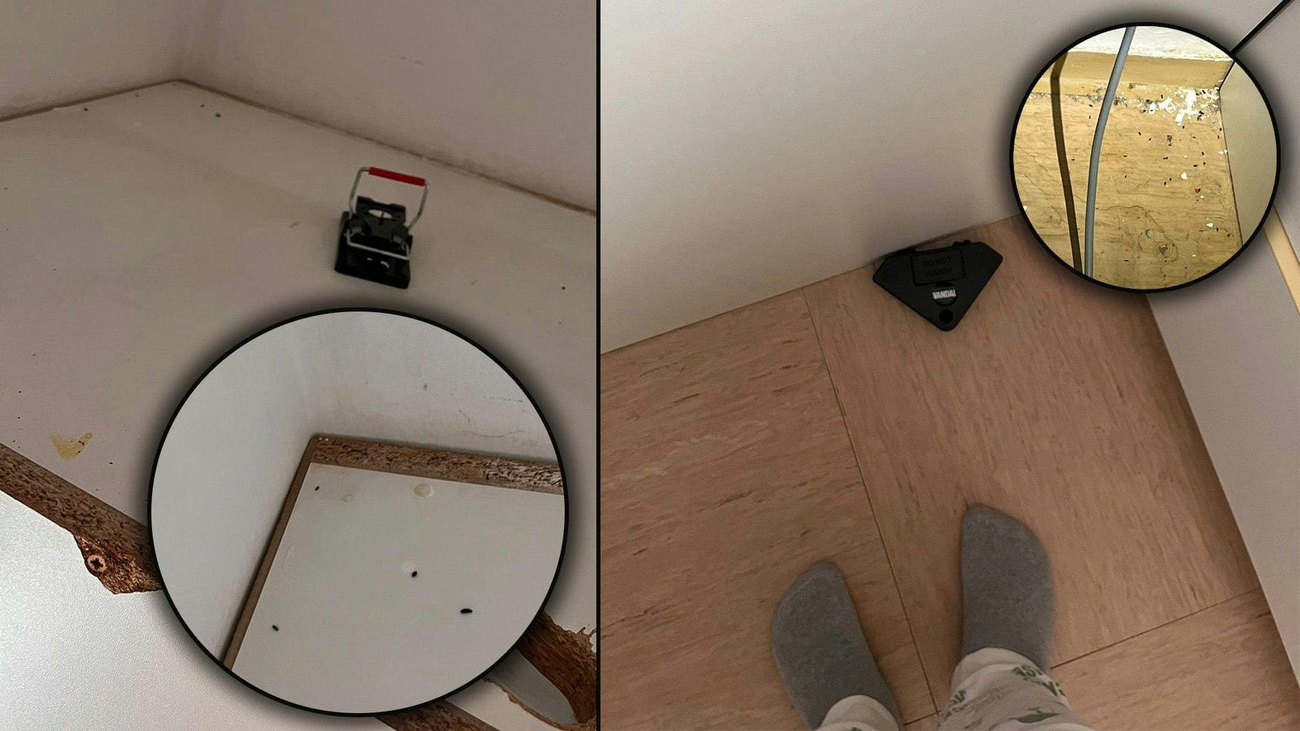 Die Wohnung von Tara ist voller Mäusekot. Trotzdem bekommt Tara keine Unterstützung