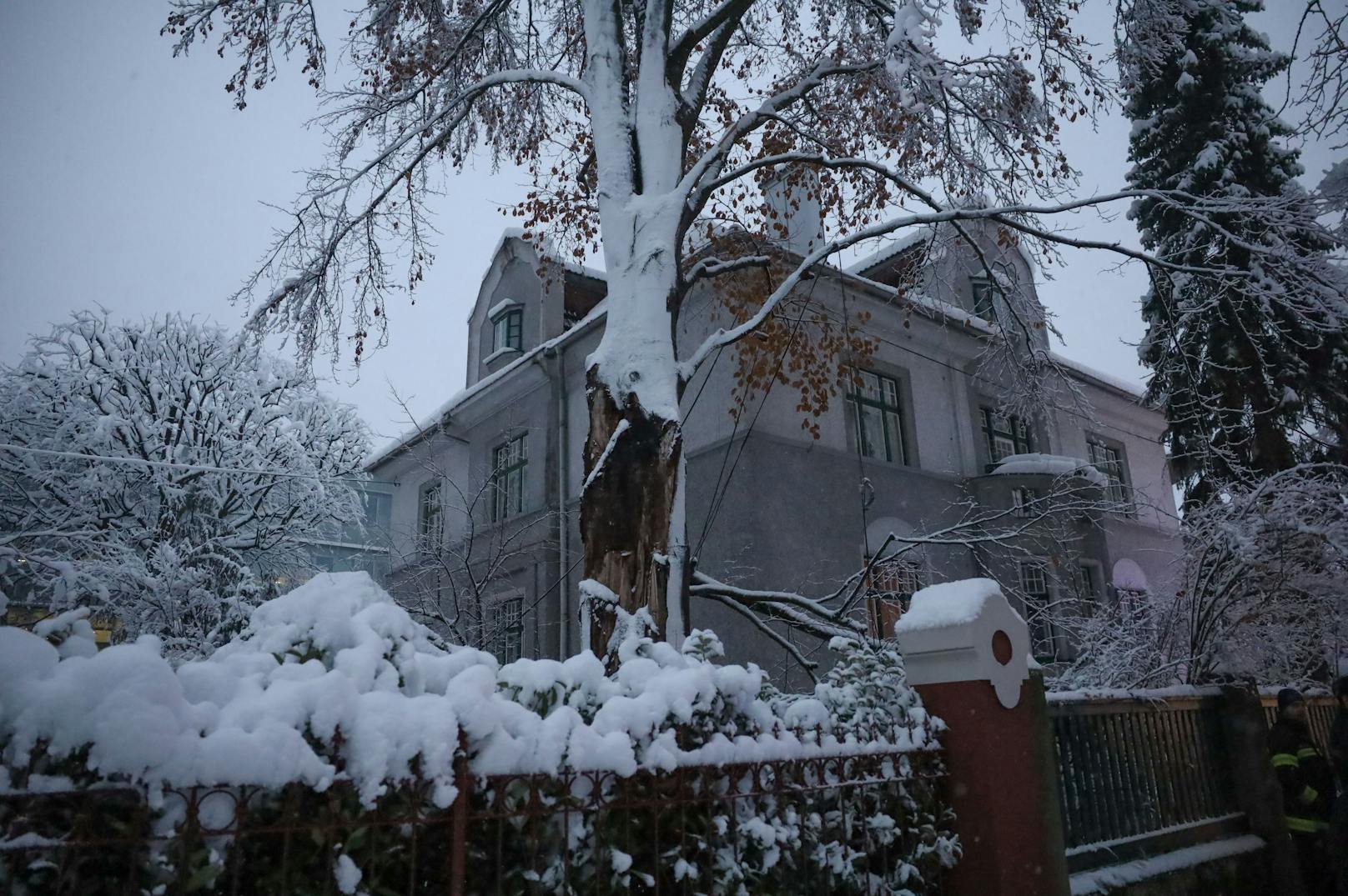 Die Feuerwehren in Oberösterreich wurden seit den Freitagabendstunden zu hunderten Einsätzen alarmiert, weil die großen Schneemengen zu Schneelastschäden an den Bäumen geführt haben.