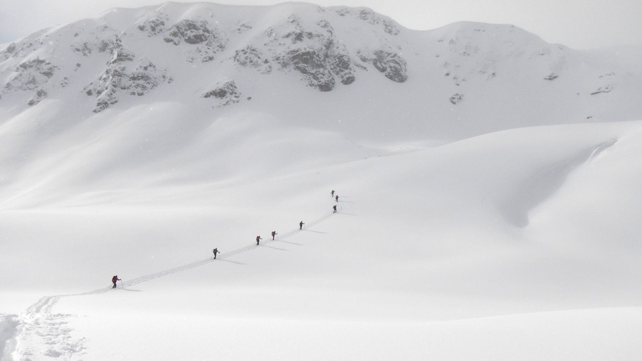 Heute.at - Heikle Situation! Polizei hat jetzt dringenden Appell