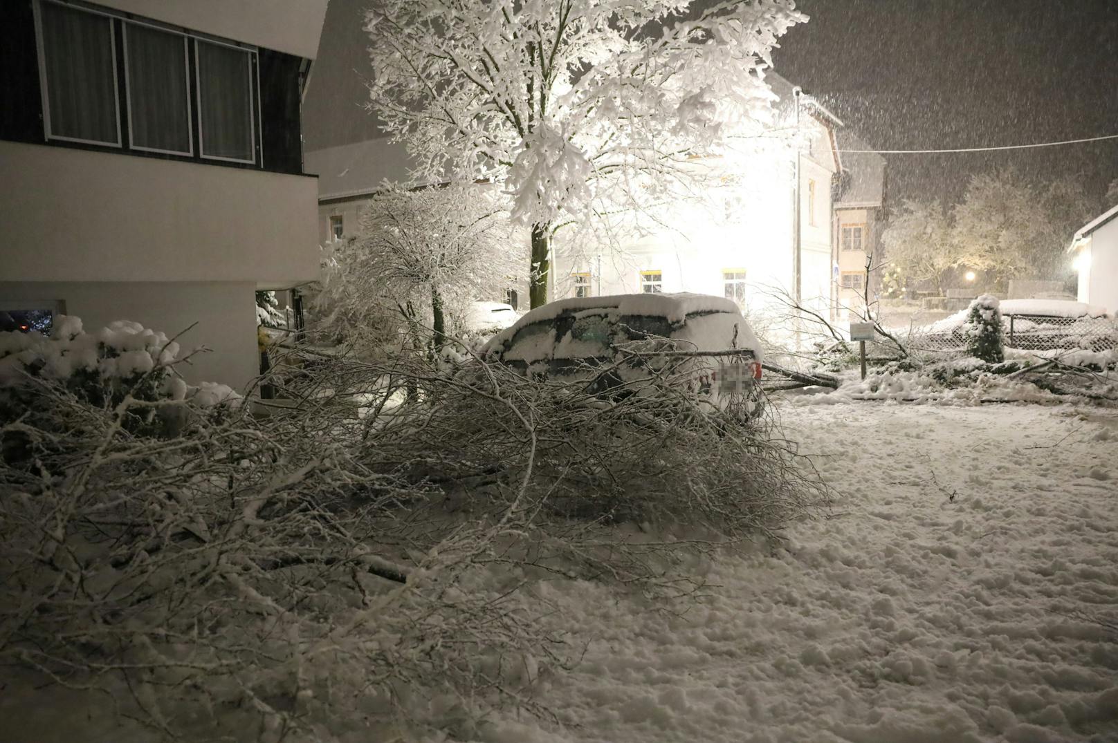 Die Feuerwehren in Oberösterreich wurden seit den Freitagabendstunden zu hunderten Einsätzen alarmiert, weil die großen Schneemengen zu Schneelastschäden an den Bäumen geführt haben.