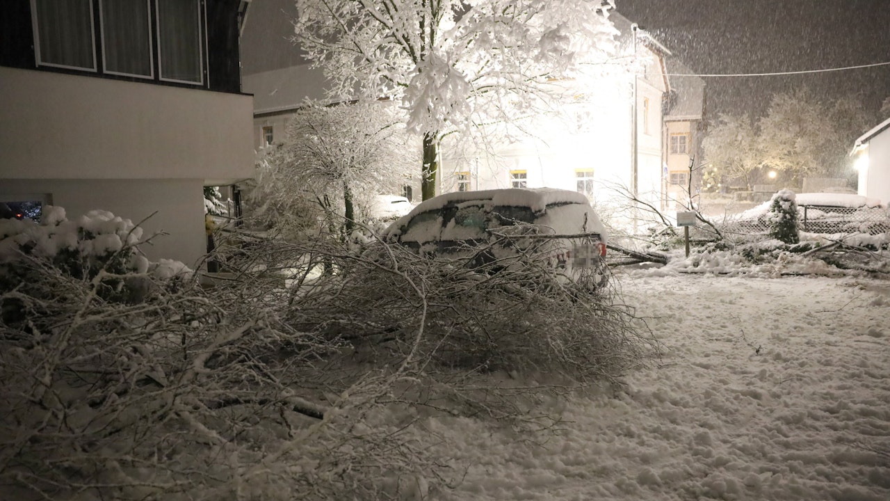 Heute.at - Sohn (20) vor Augen des Vaters von Baum getroffen