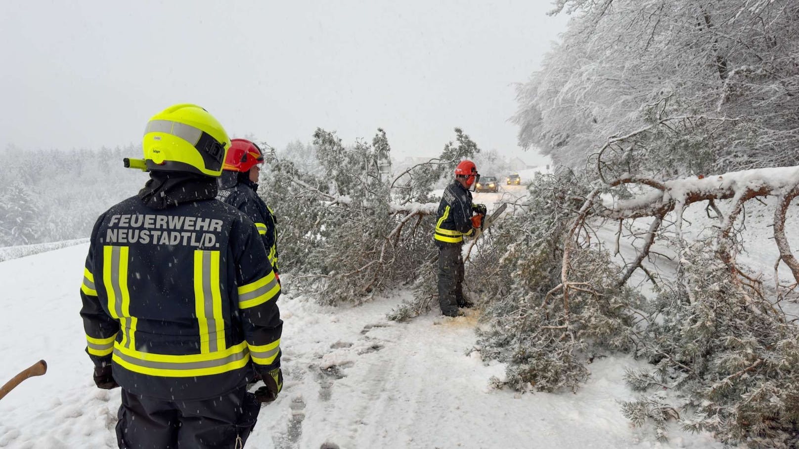 Zahlreiche Einsätze wegen umgestürzter Bäume und hängengebliebenen Fahrzeugen beschäftigen die Feuerwehren in Niederösterreich. Unteranderem auch die Feuerwehr Neustadtl im Bezirk Amstetten. Unzählige Einsätze beschäftigen auch diese unteranderem auf der L91.