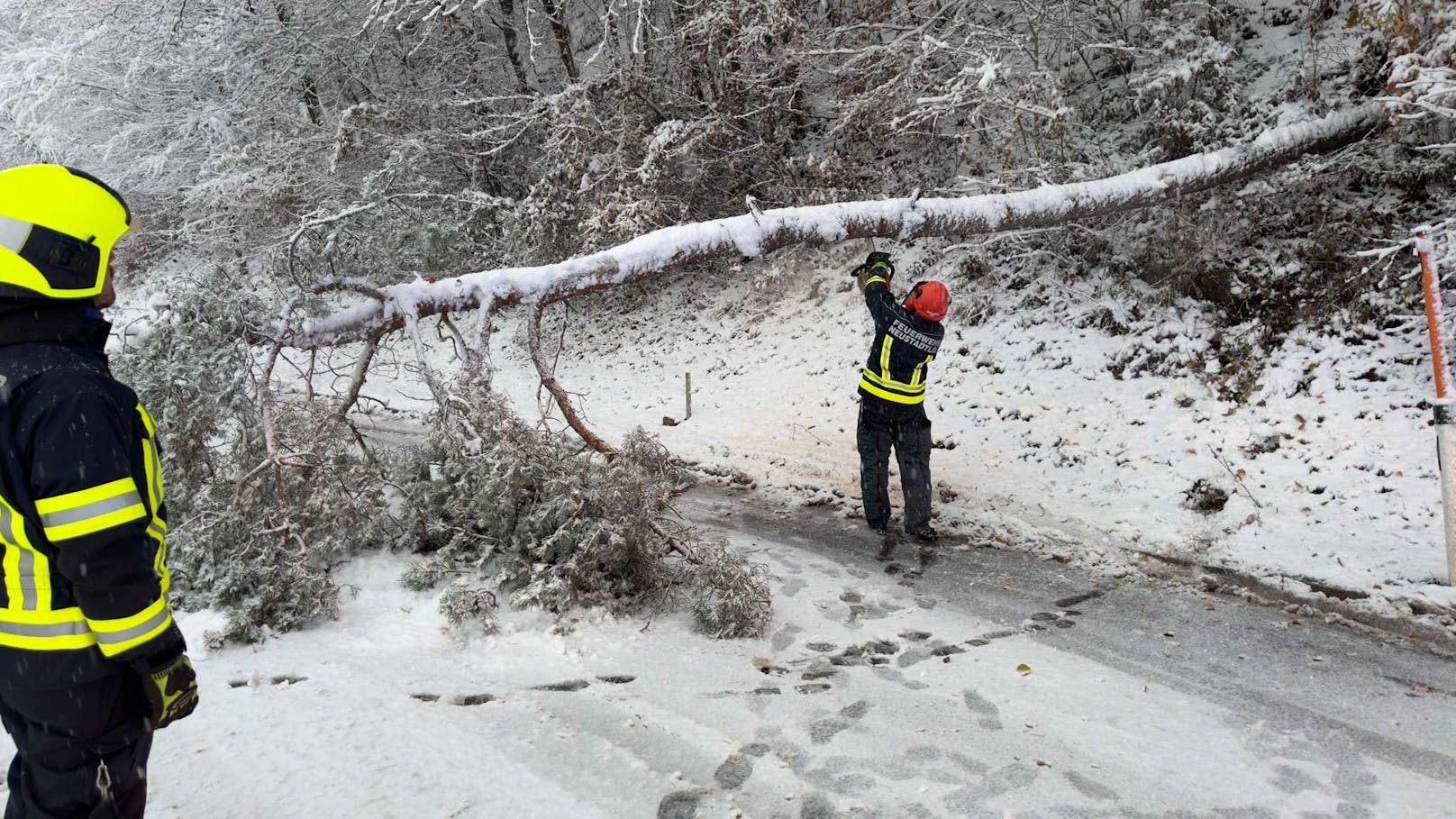 Zahlreiche Einsätze wegen umgestürzter Bäume und hängengebliebenen Fahrzeugen beschäftigen die Feuerwehren in Niederösterreich. Unteranderem auch die Feuerwehr Neustadtl im Bezirk Amstetten. Unzählige Einsätze beschäftigen auch diese unteranderem auf der L91.