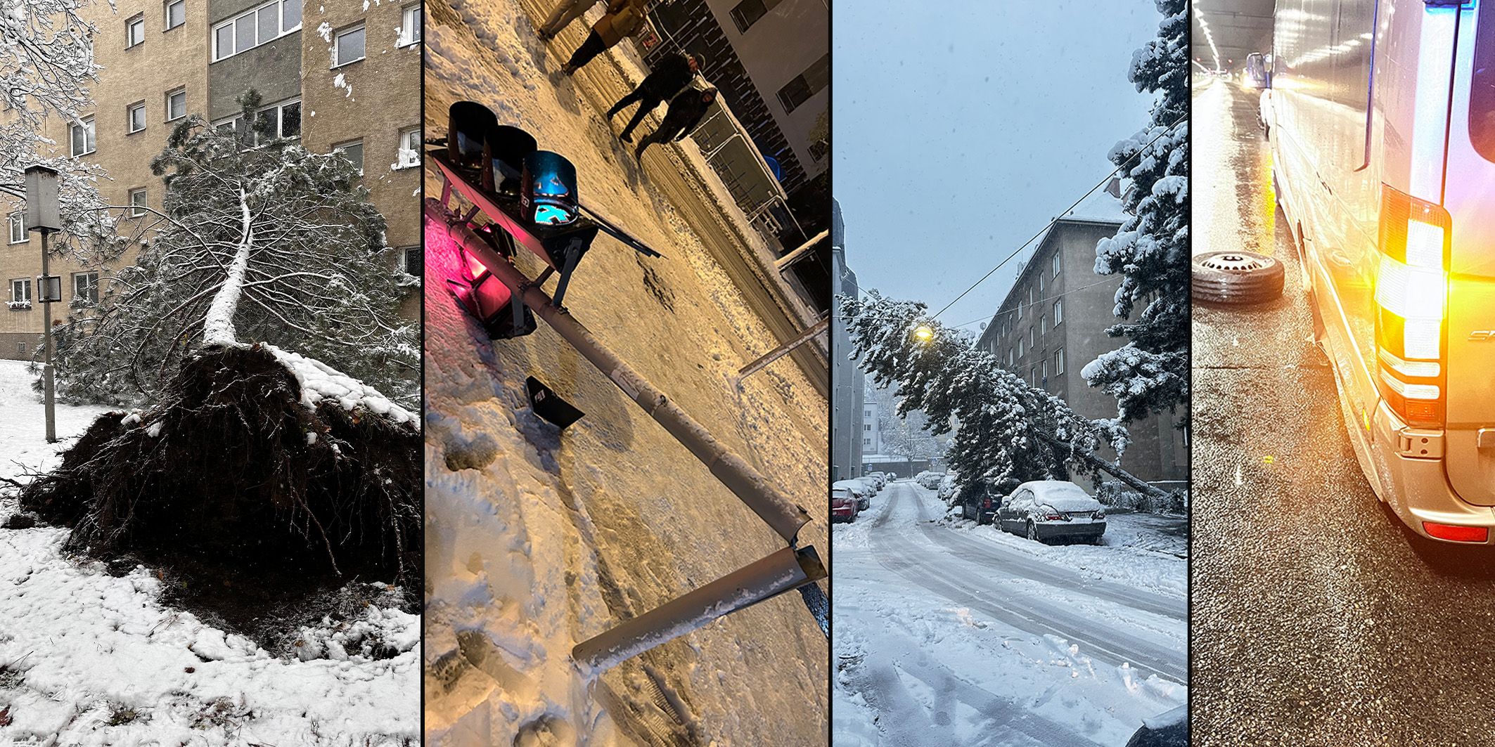 Der Schnee hinterließ am Samstag eine Spur der Verwüstung.