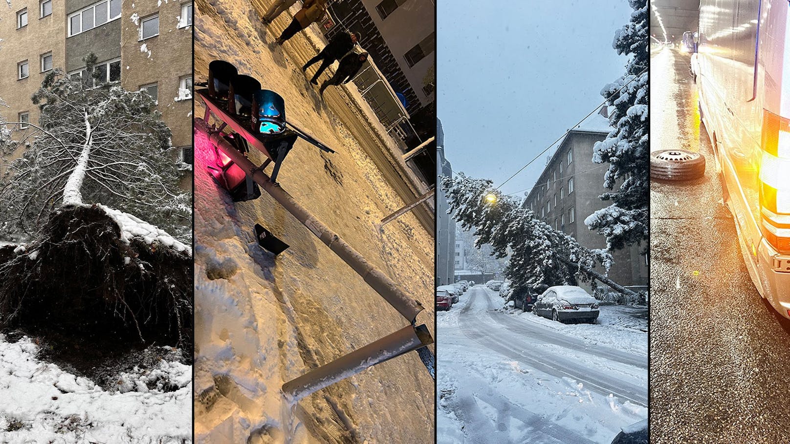 Ampel, Bäume, Autos – Schnee-Chaos verwüstet Wien