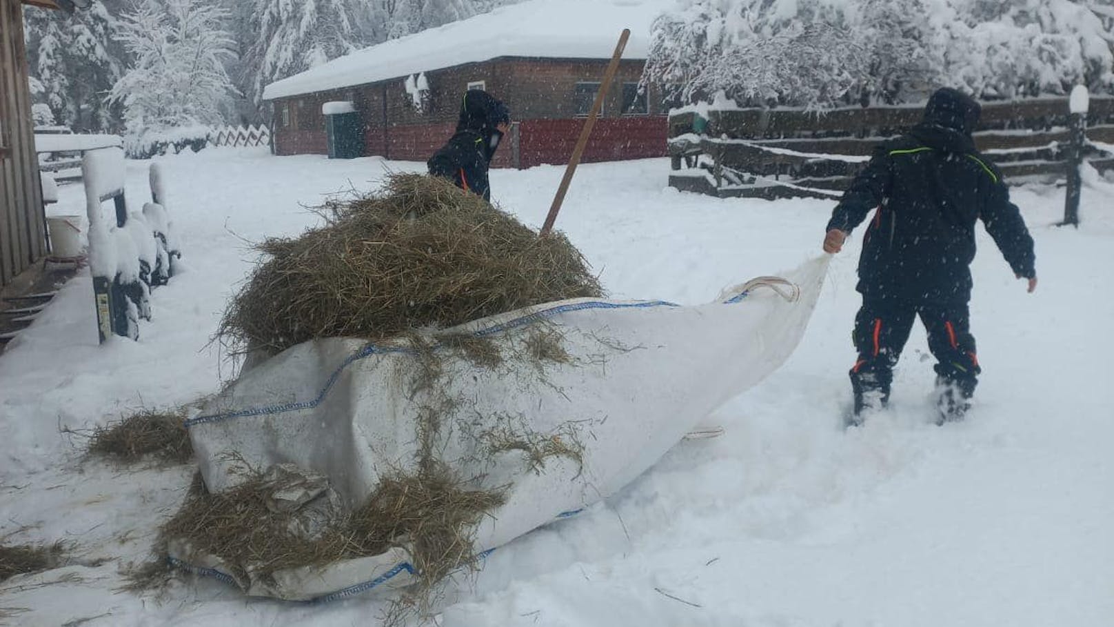 Schneewalze schneidet Hunderte Tiere von Außenwelt ab