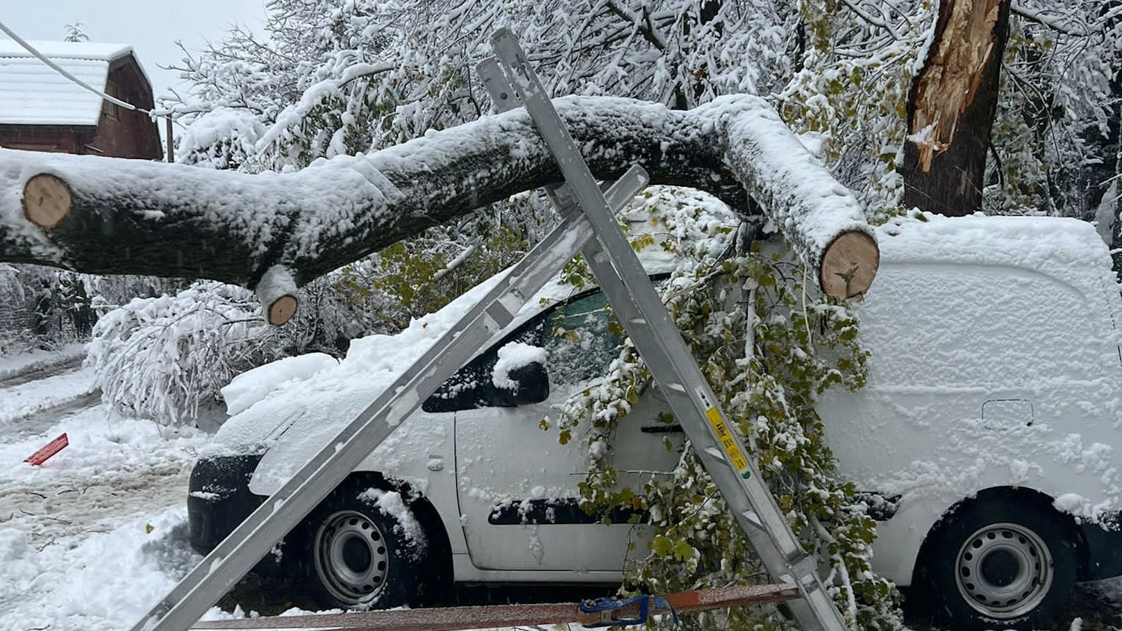 In Kritzendorf stürzte auch ein Baum auf ein Auto.