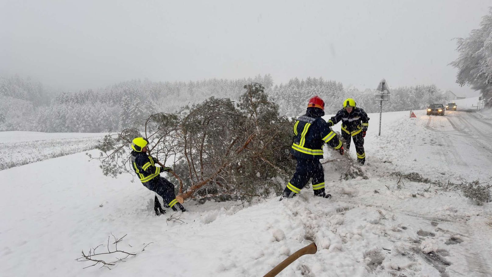 Auch in Neustadtl knickten die Bäume aufgrund der Schneelast wie Streichhölzer.