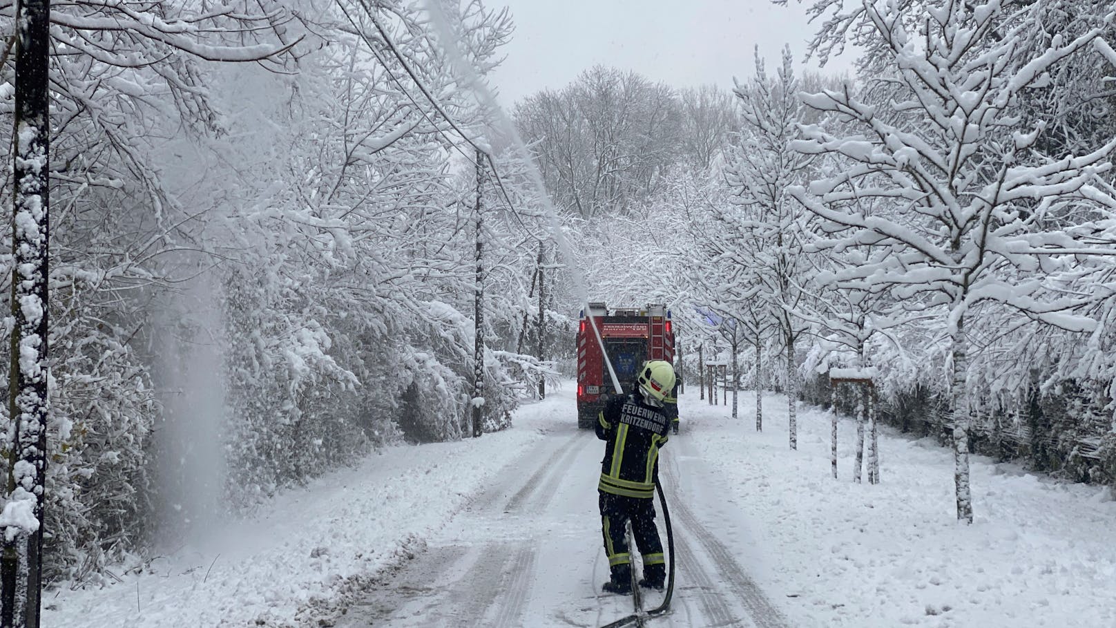 Schnee-Chaos in NÖ – "Bäume knickten wie Streichhölzer"