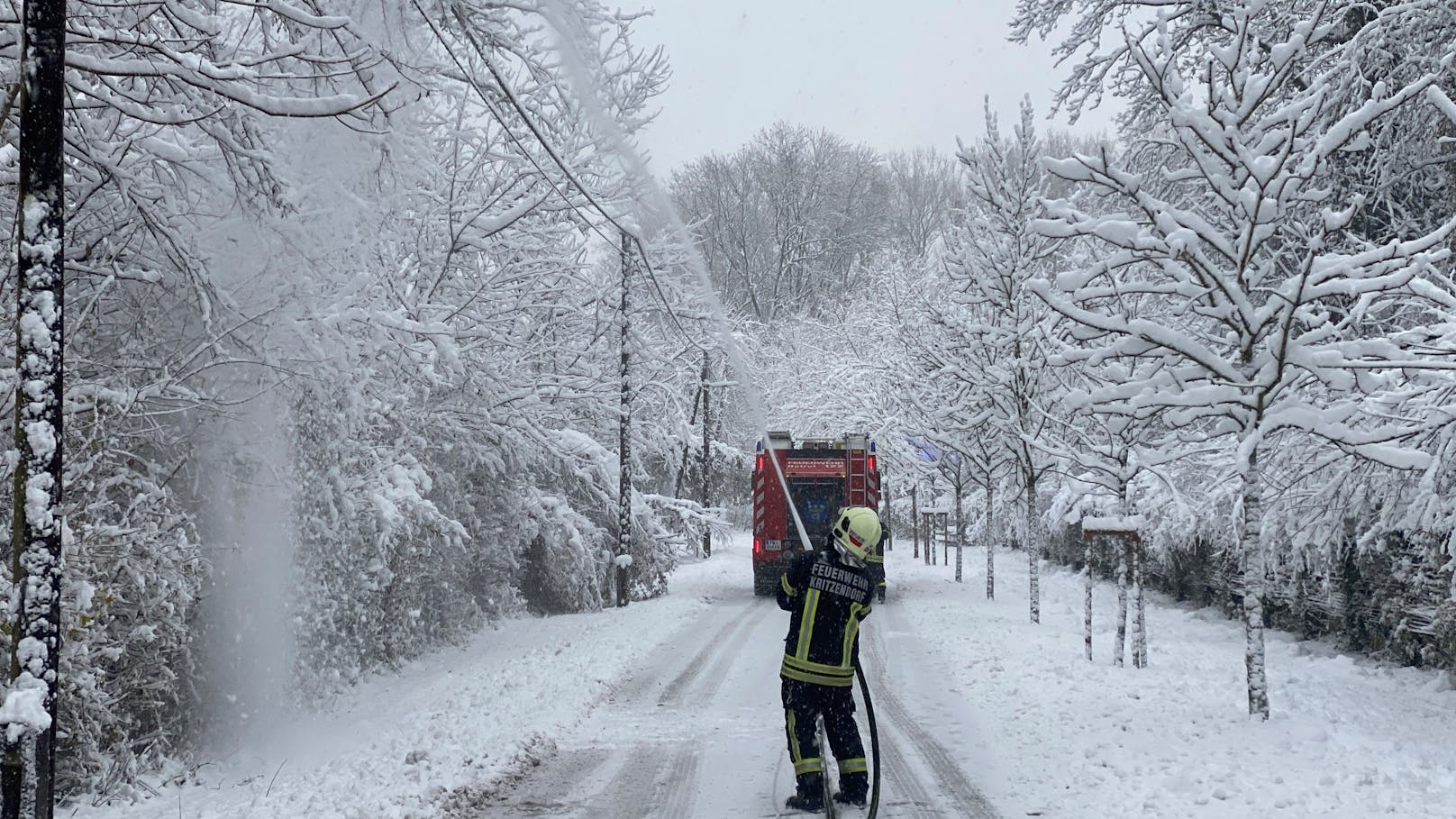 Schnee-Chaos in NÖ – "Bäume knickten wie Streichhölzer"
