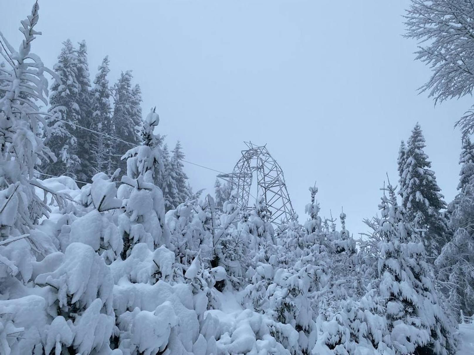 Schneemassen ließen Strommasten wie Streichhölzer knicken – die Energie Steiermark arbeitet auf Hochtouren an der Wiederherstellung der Versorgung (3. Dezember 2023).