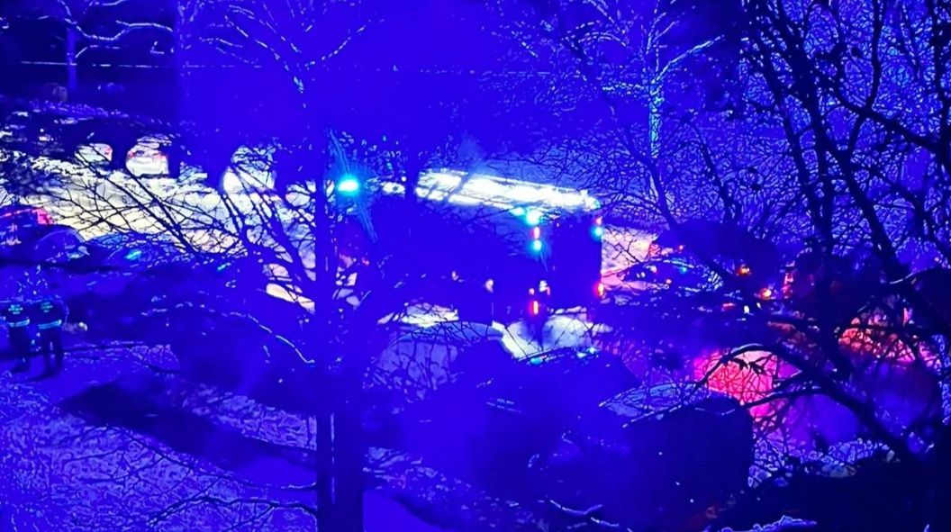 Feuerwehreinsatz in der Vivariumstraße.