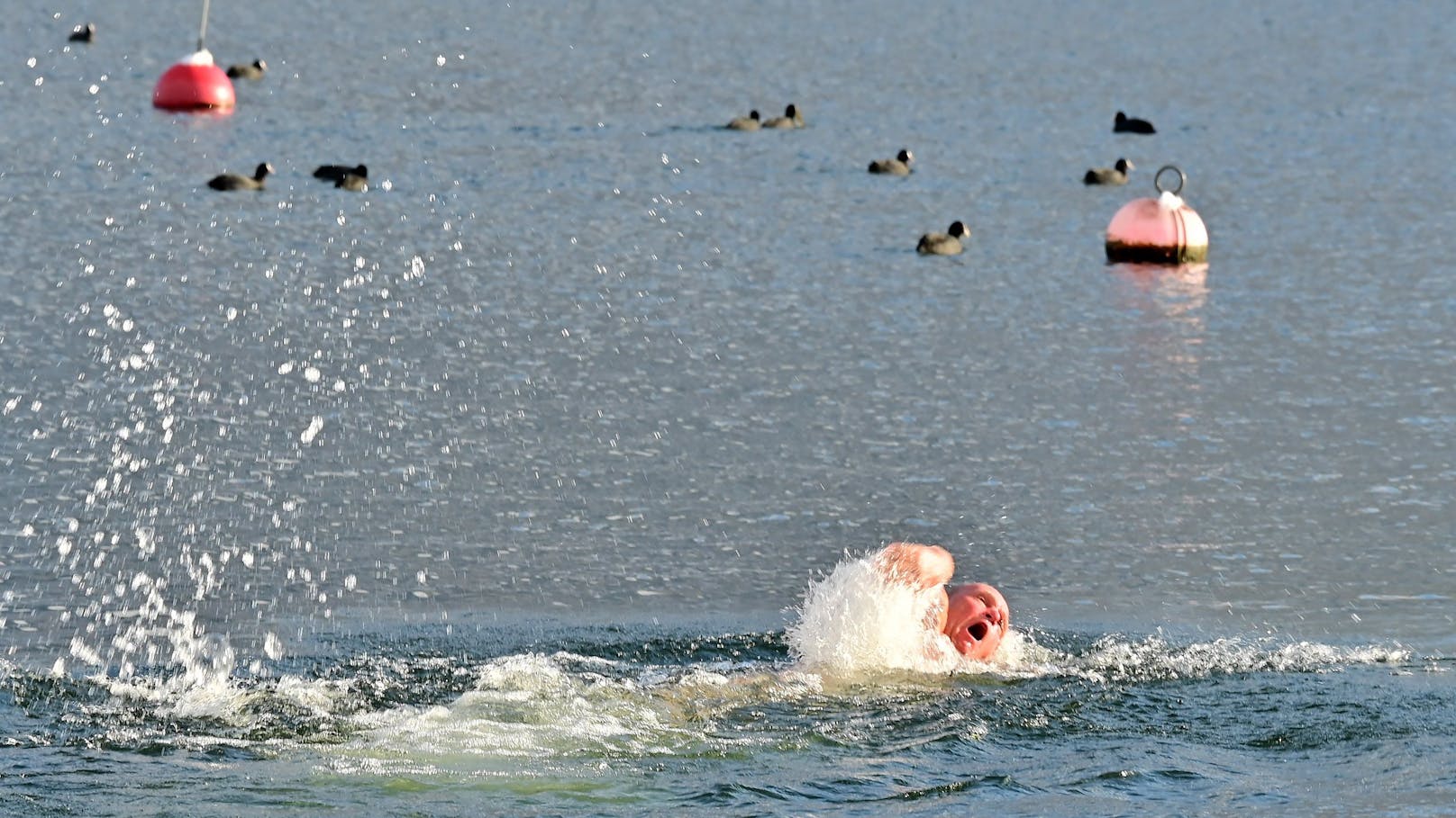 Stärkt das Immunsystem: Schwimmen in den kalten Fluten.