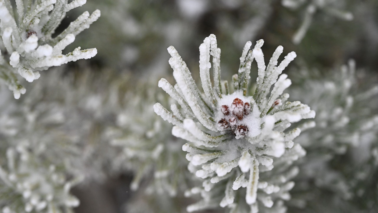 Heute.at - Strenger Frost – hier setzt nun klirrende Kälte ein