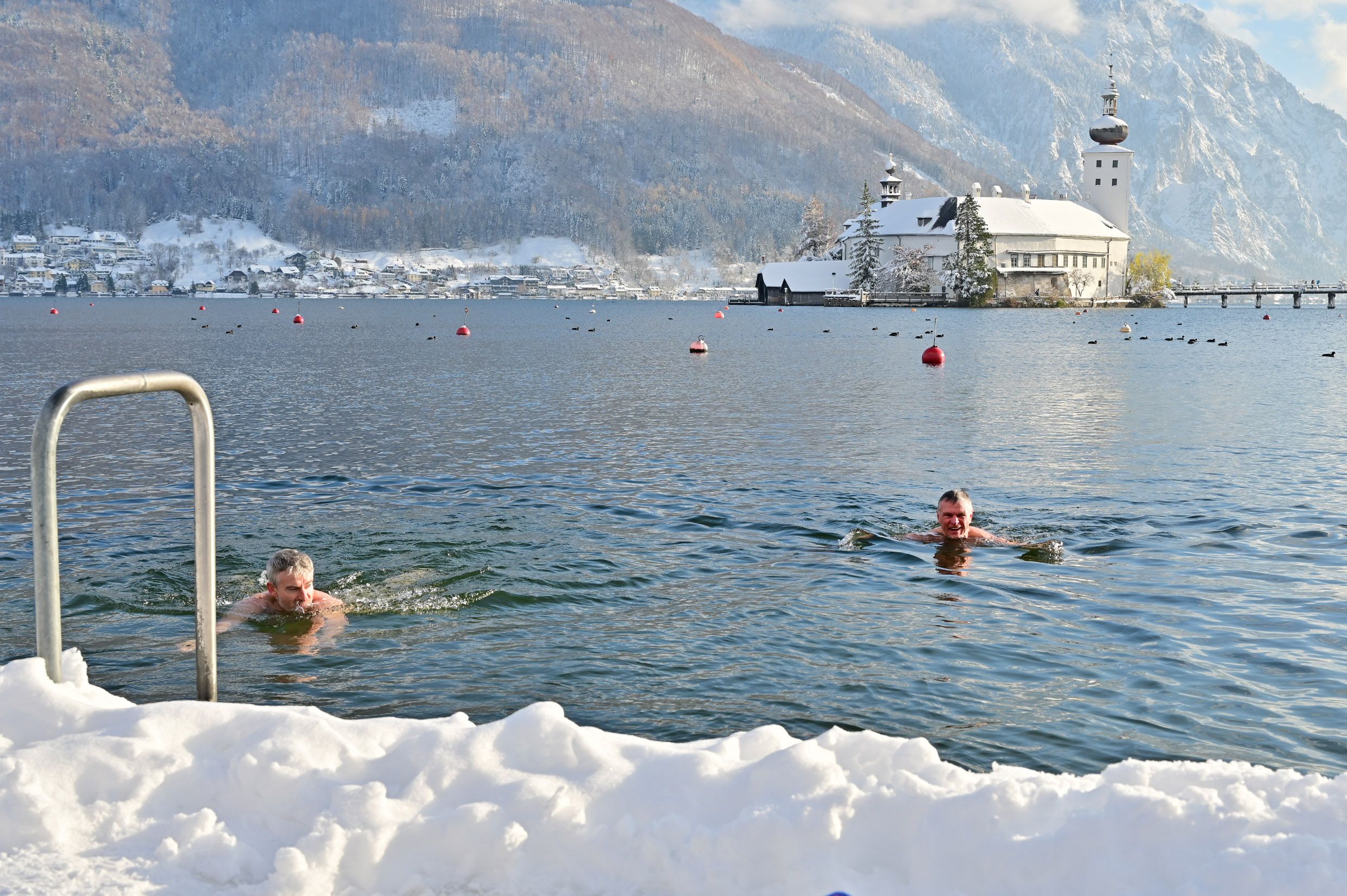 Idyllischer Anblick, der einen gleichzeitig frösteln lässt: Dieses coole Duo sprang in den Traunsee.