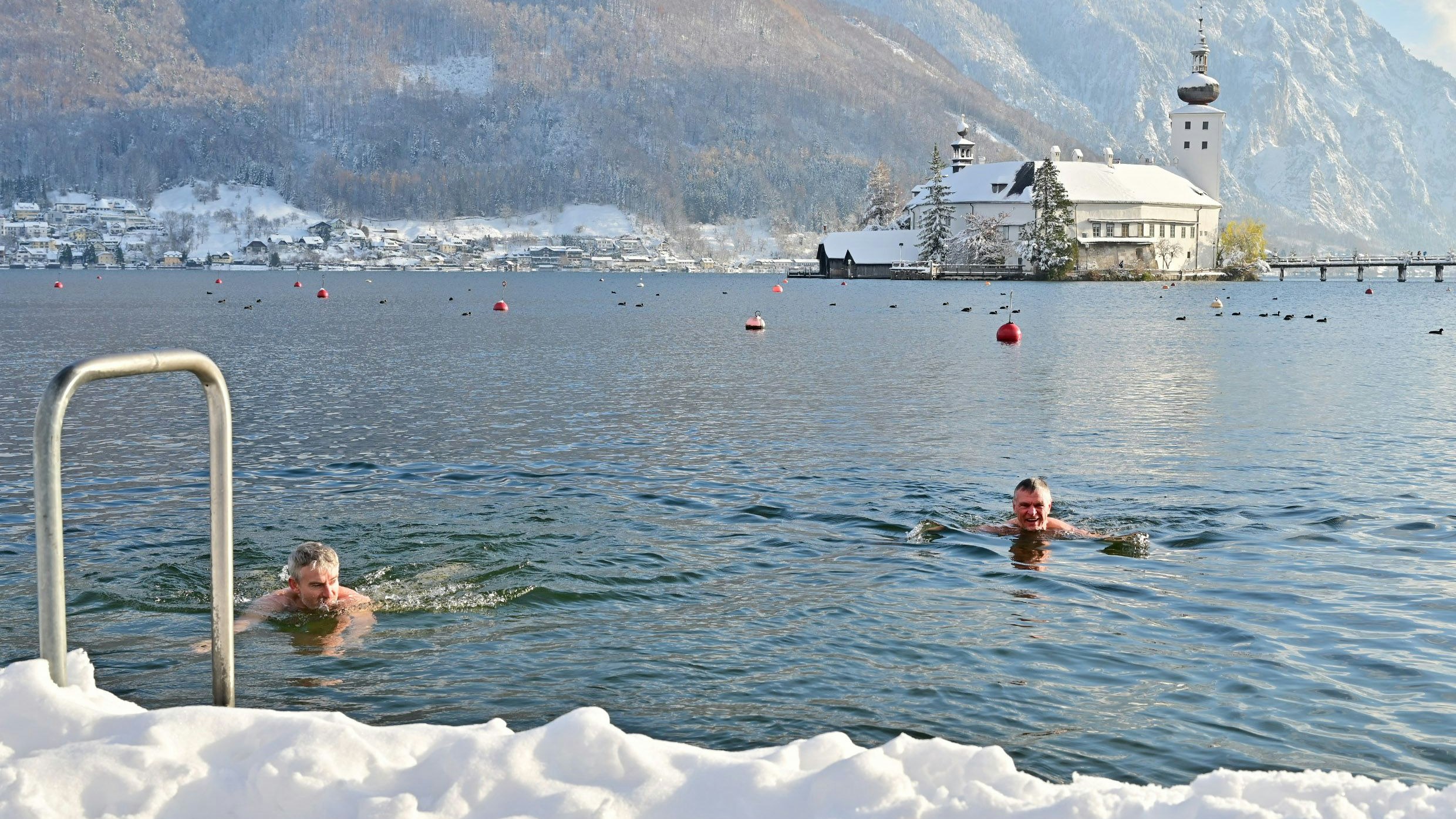 Idyllischer Anblick, der einen gleichzeitig frösteln lässt: Dieses coole Duo sprang in den Traunsee.