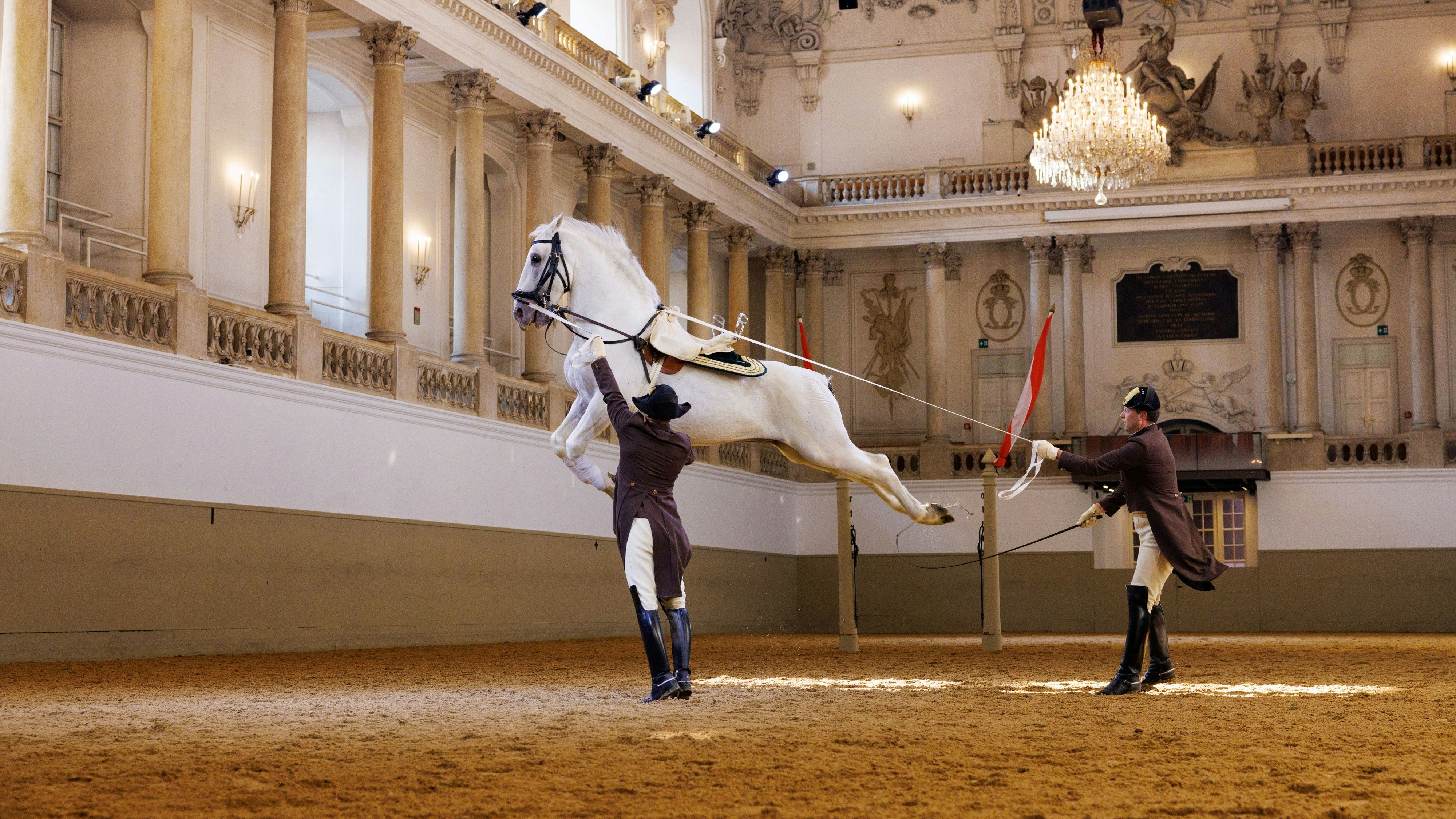 Spanische Hofreitschule Wien präsentiert am 17. März 2024 die "Hohe Schule" der Reitkunst.