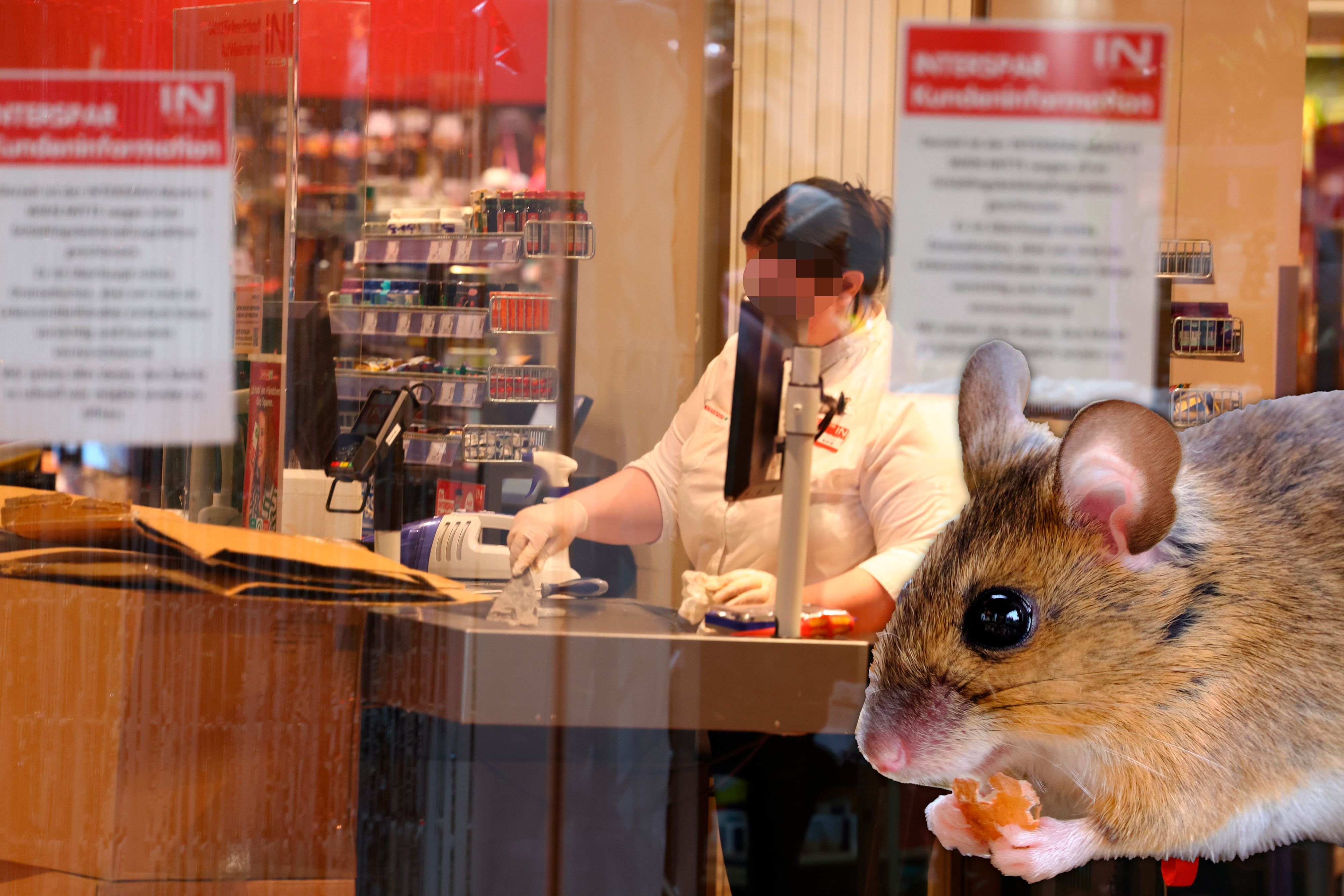 In der Supermarkt-Filiale sind die Mäuse los.
