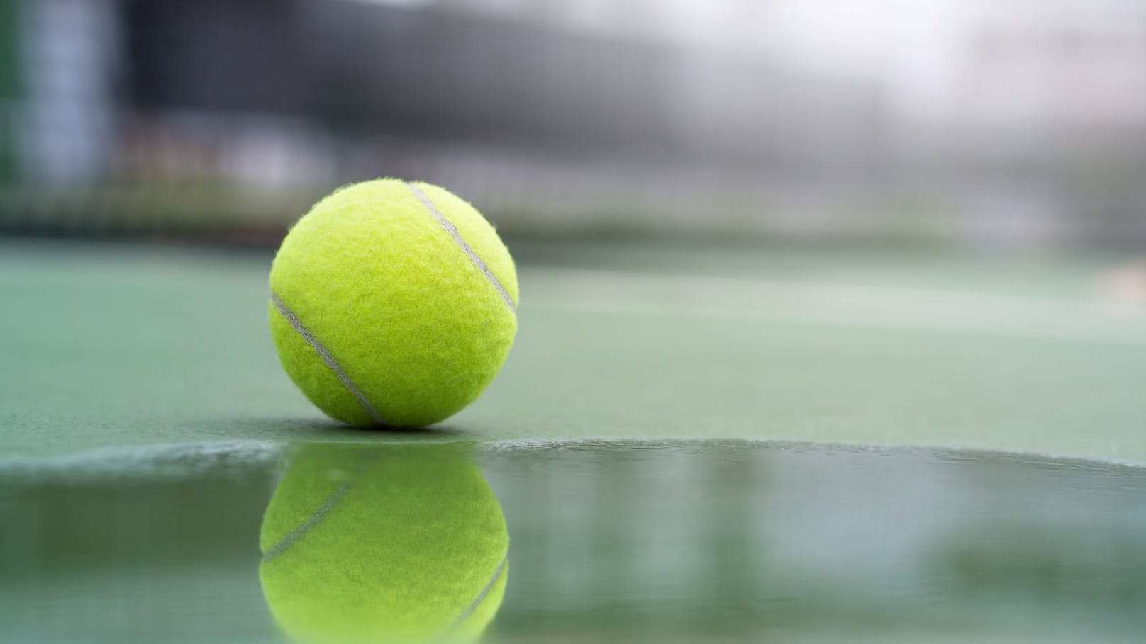 Deshalb kann ein Tennisball im Garten Leben retten