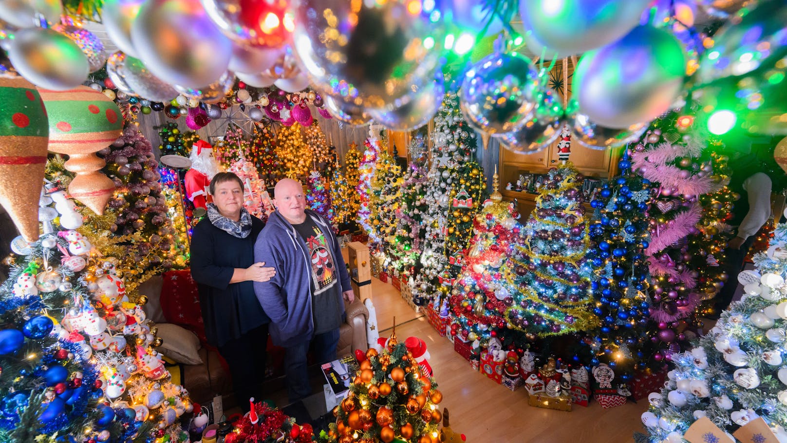 Insgesamt 555 geschmückte Weihnachtsbäume haben Susanne und Thomas Jeromin aus Niedersachsen in ihrem 100 Quadratmeter großen Haus aufgestellt.