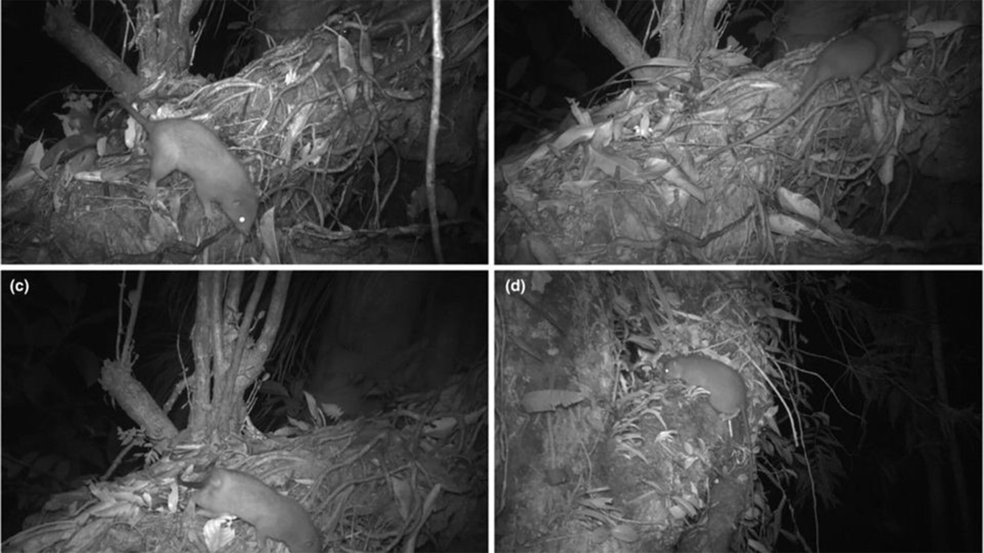 Ganz schön imposant, das 