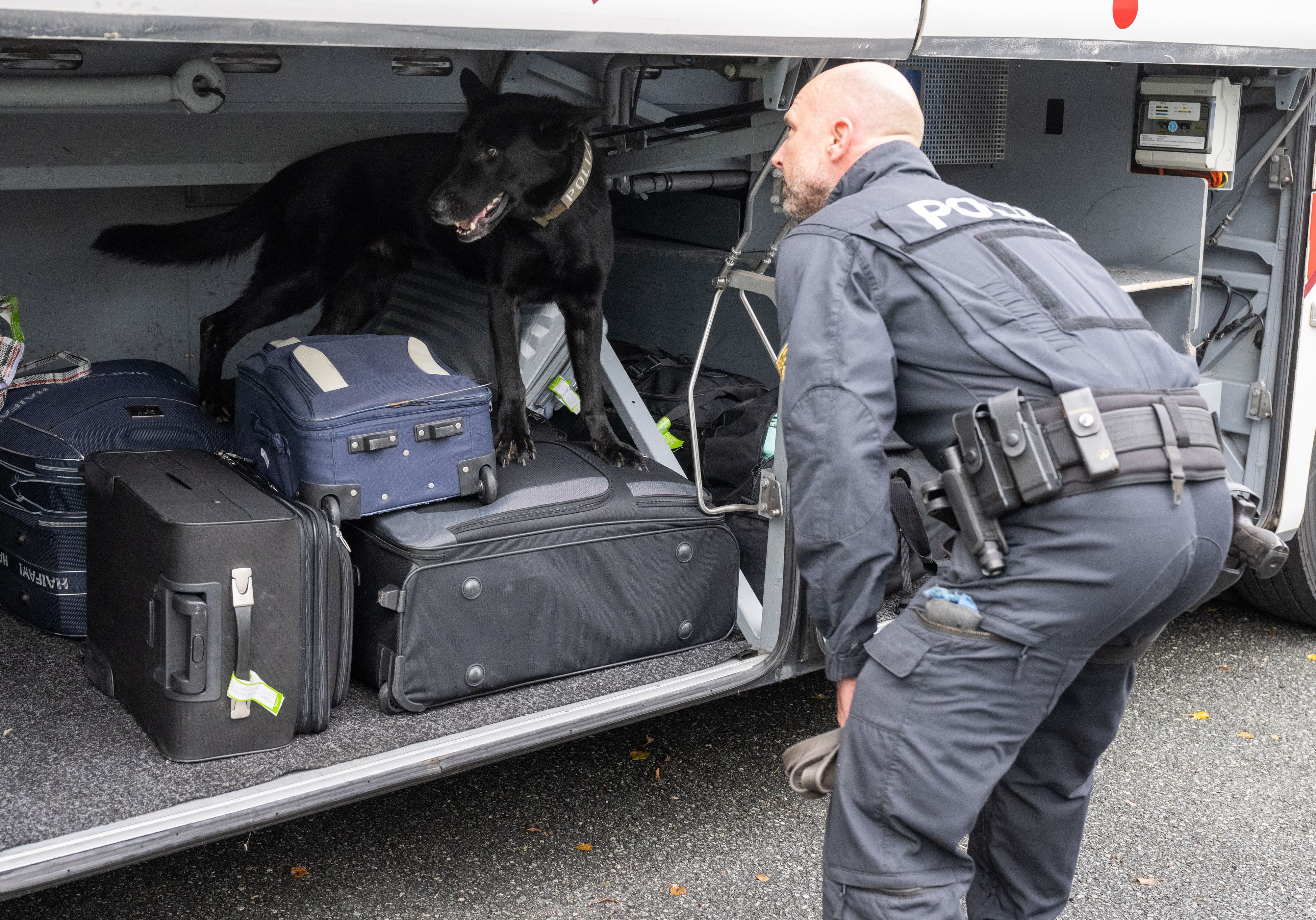 Die Polizei durchsuchte den Reisebus aus Kroatien gründlich.