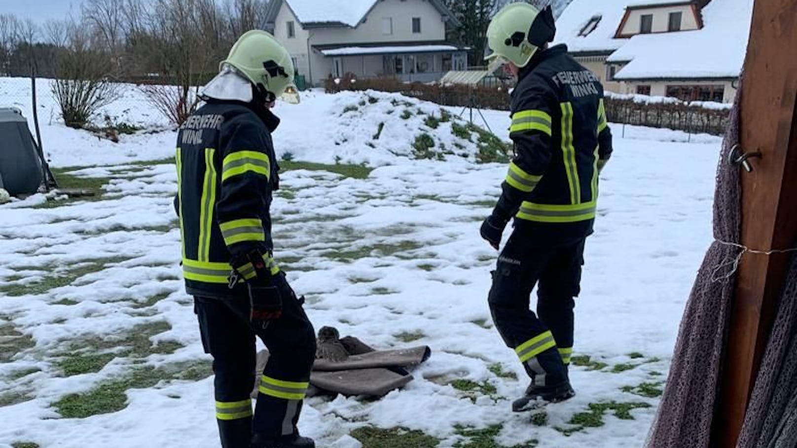 Dann brachten sie den Vogel unversehrt ins Freie.