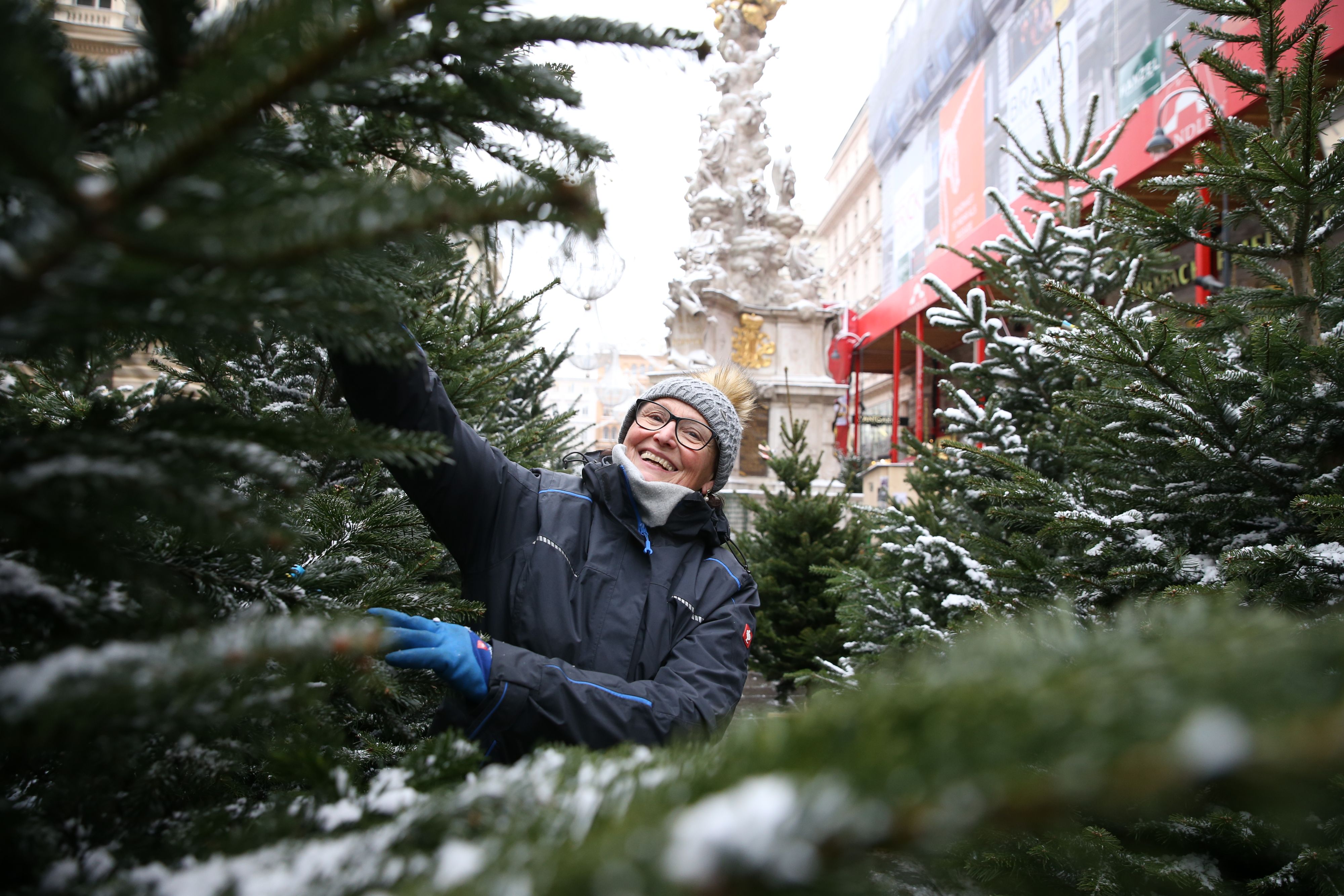 Auch am Wiener Graben ist heuer eine der 261 Verkaufsstellen für Christbäume.
