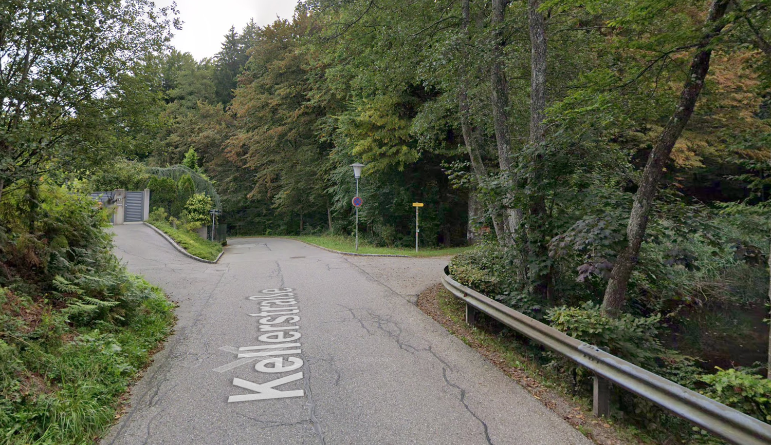 Auf ihrer Flucht verirrten sich die Passagiere im Wald.