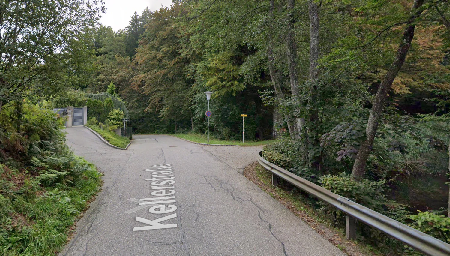 Auf ihrer Flucht verirrten sich die Passagiere im Wald.