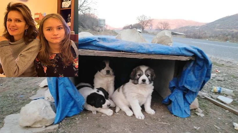 Petra aus NÖ und Star-Anwältin Astrid Wagner engagieren sich für Straßenhunde im Ausland.