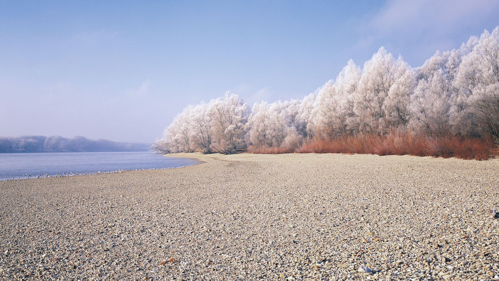 Der Wasserstand der Donau steigt derzeit im Minutentakt.