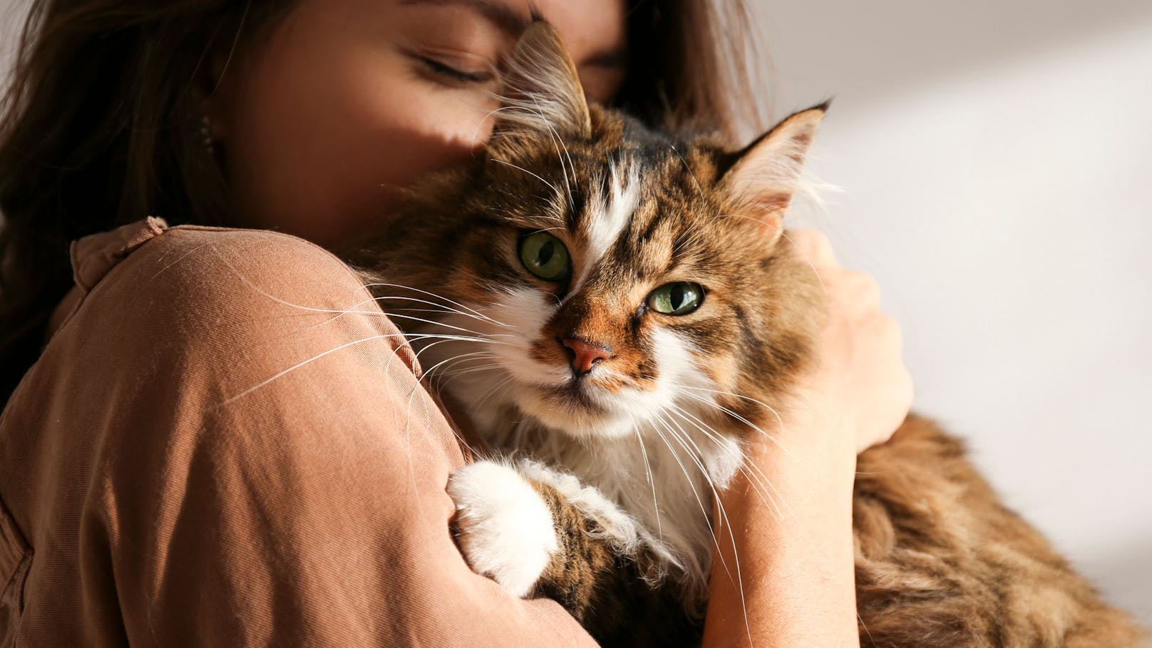Forscher wegen Katzenparasit alarmiert