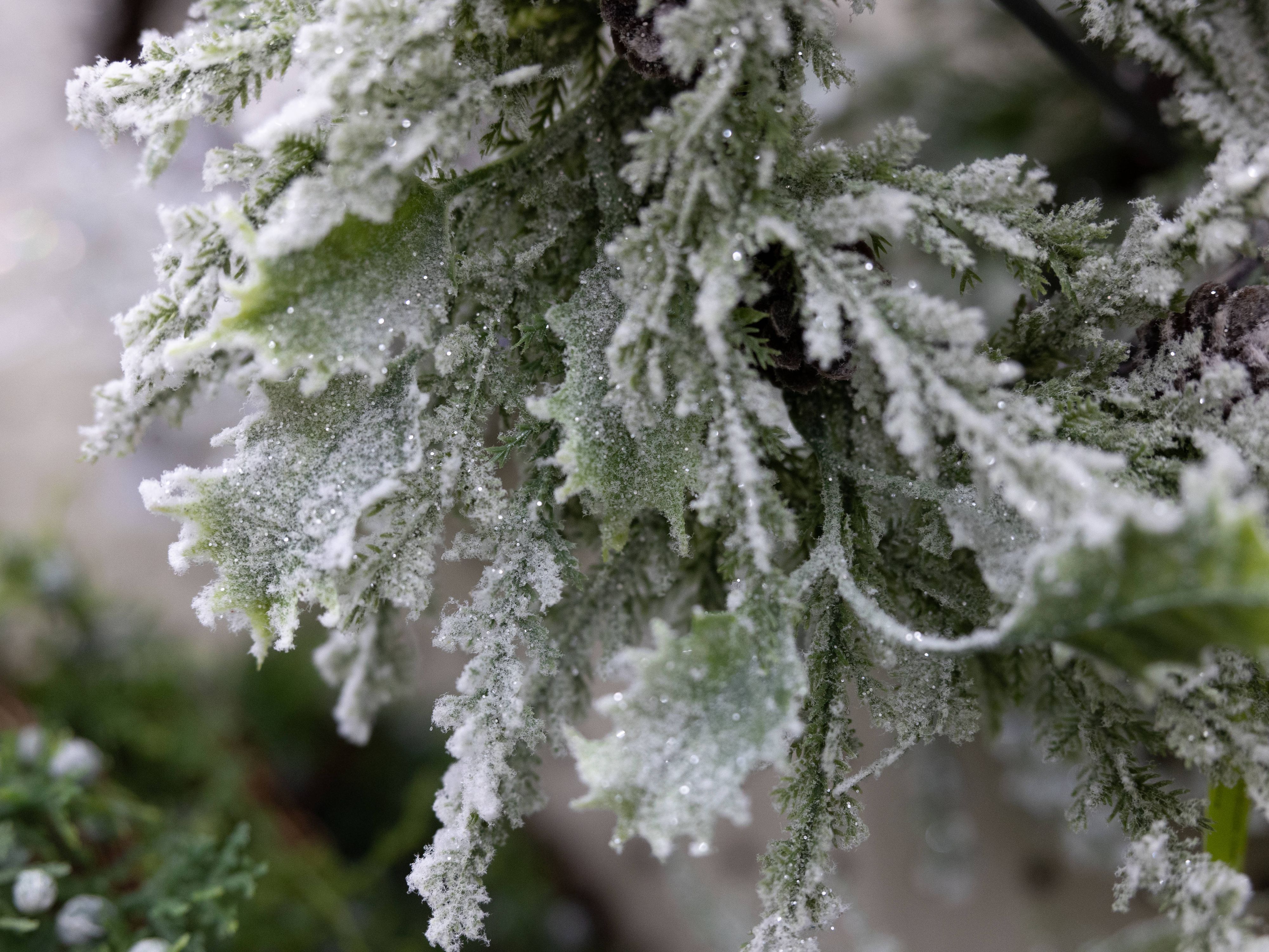 1996 gab es zuletzt in ganz Österreich 