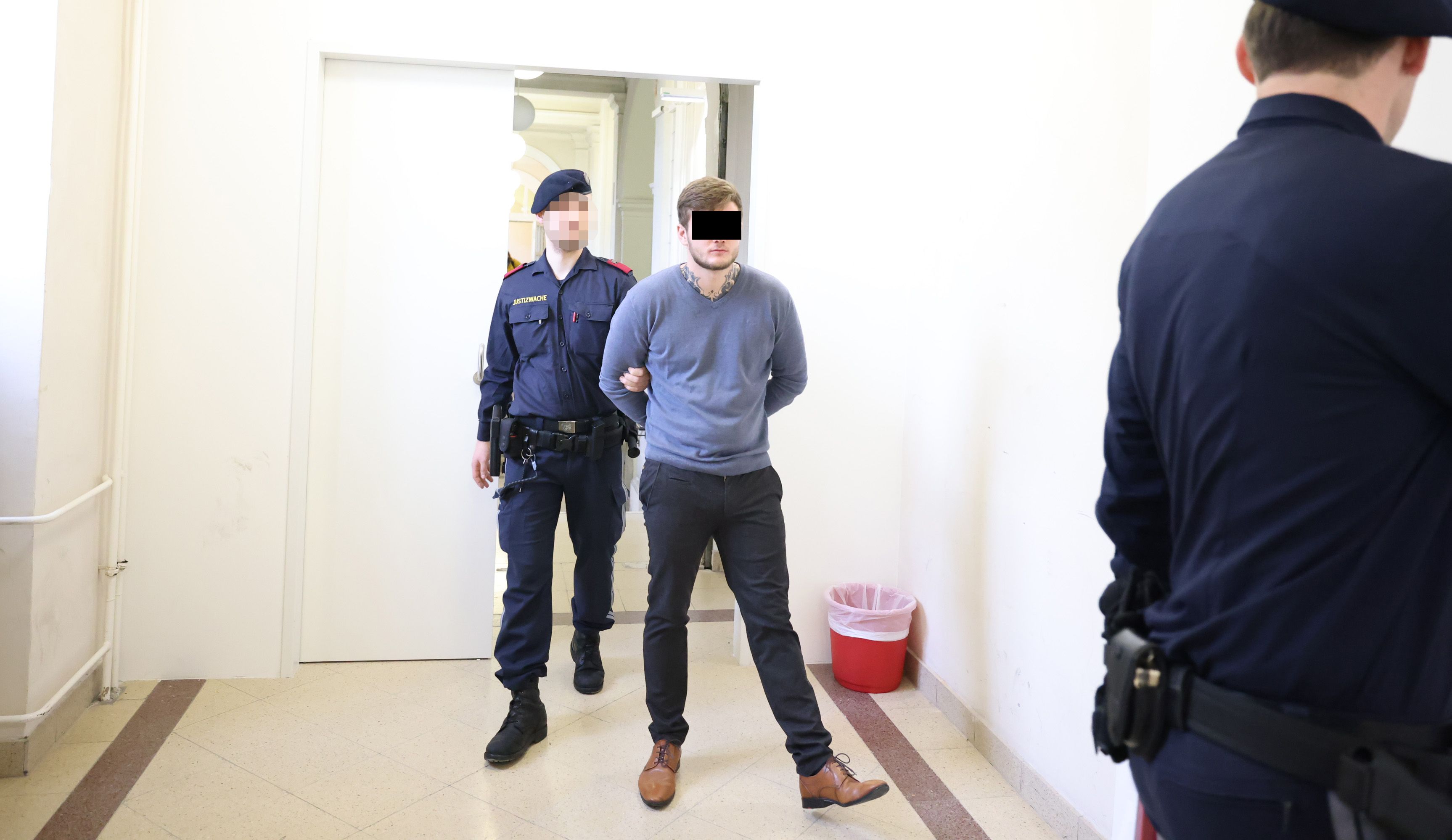 Der Beschuldigte wurde in Handschellen vorgeführt und in eine Anstalt eingewiesen.