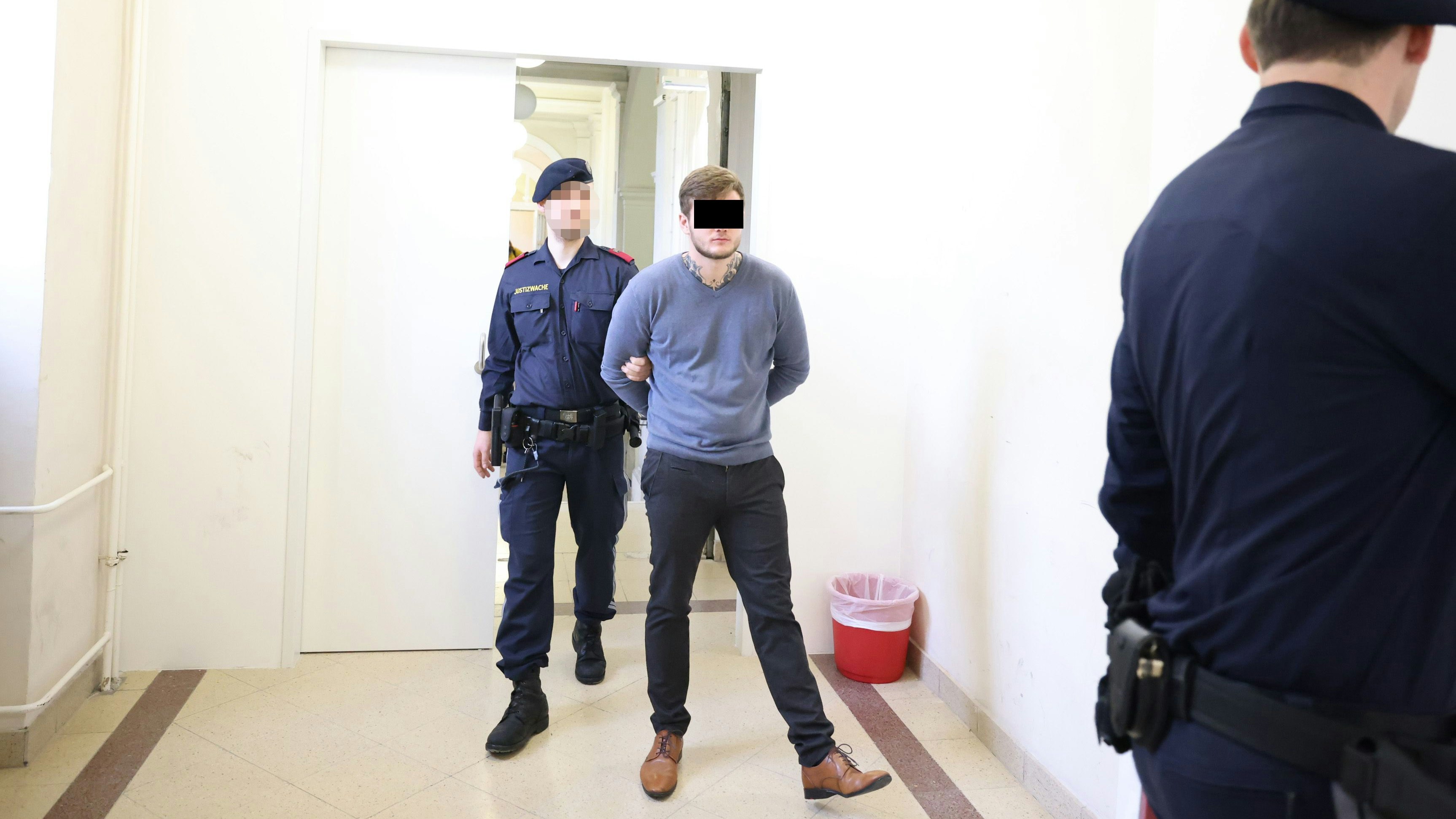 Der Beschuldigte wurde in Handschellen vorgeführt und in eine Anstalt eingewiesen.