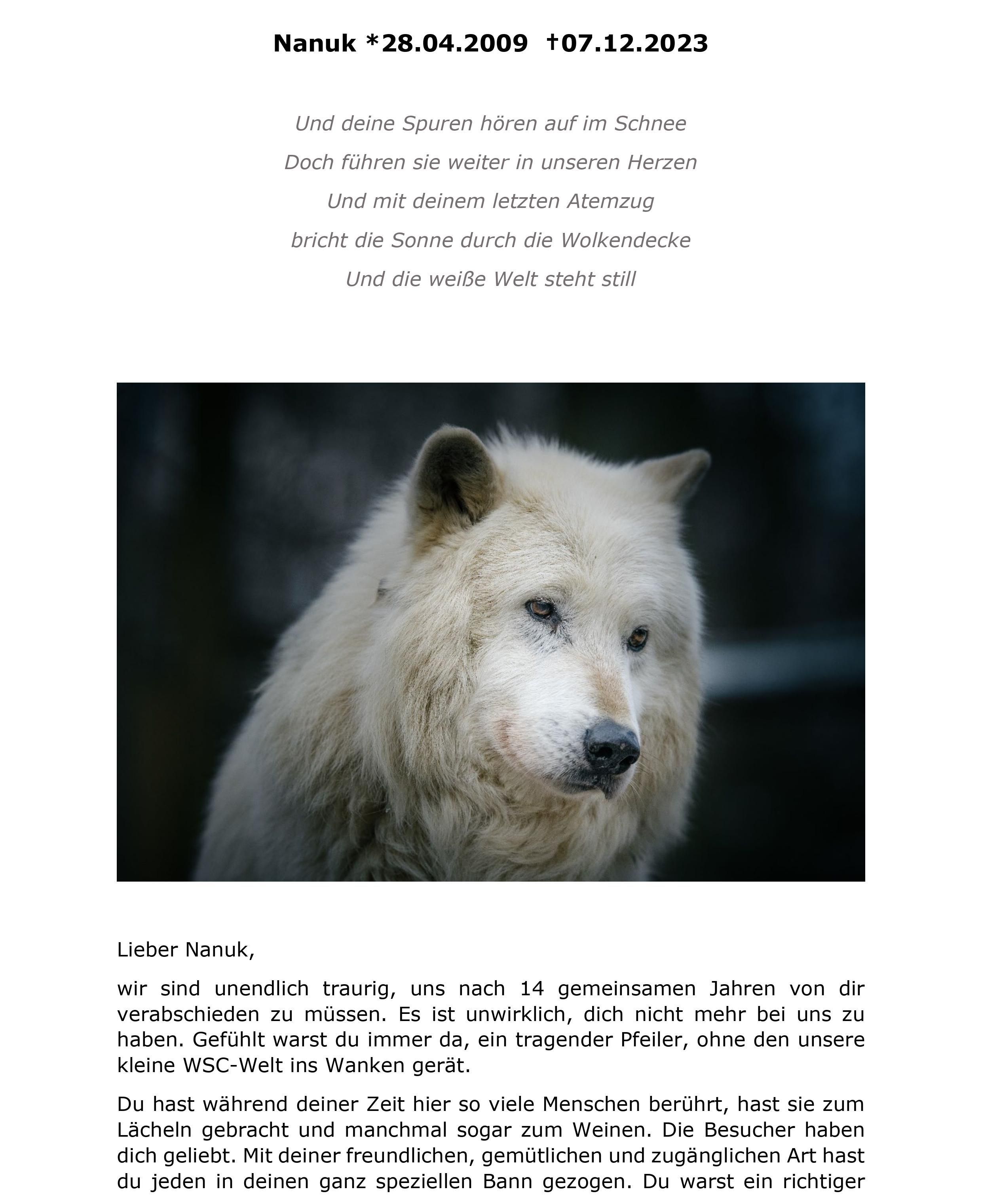 Der 14-jährige Wolf ist gestorben.