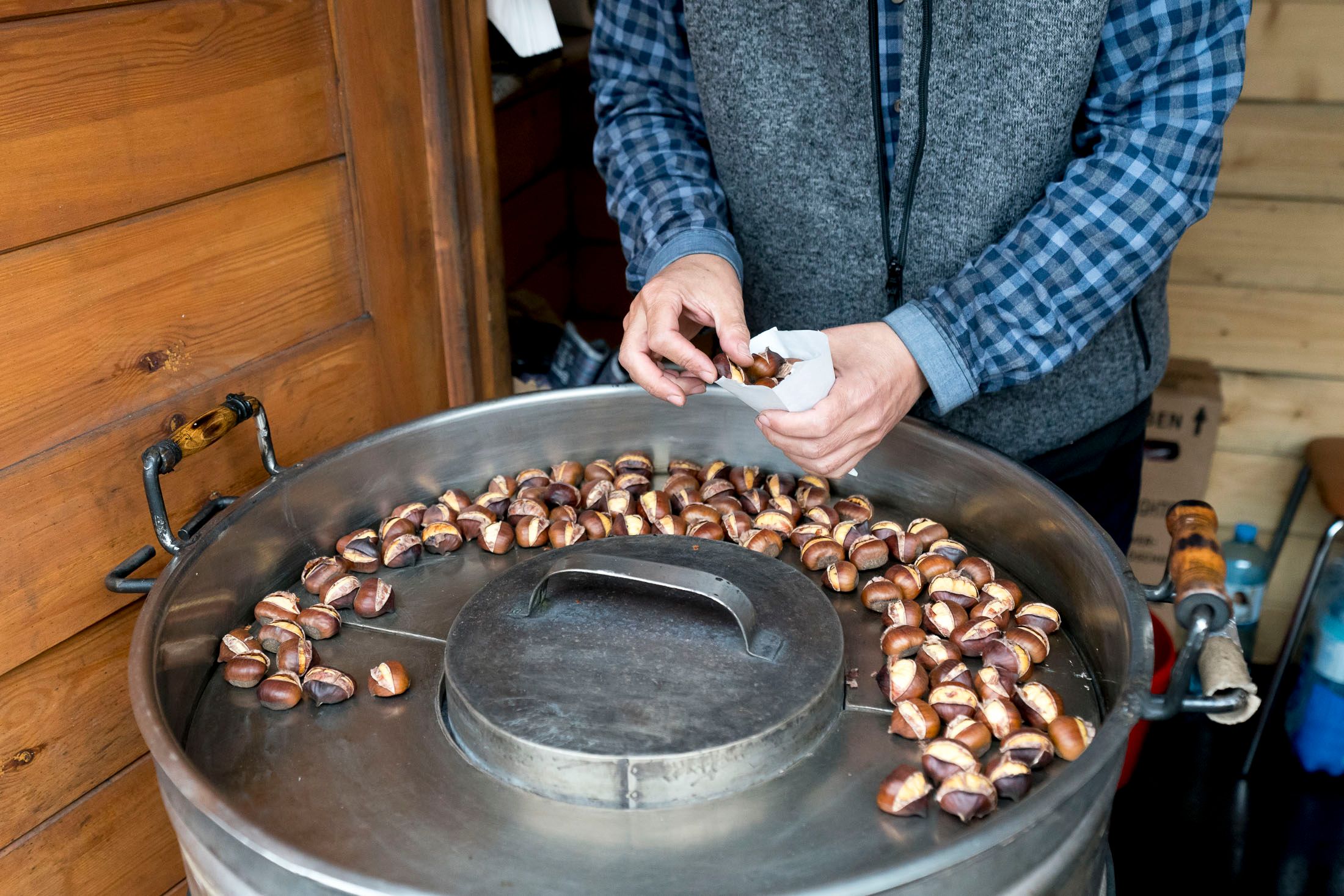 Die Wiener Neo-Akademikerin (26) sollte als Maronibraterin arbeiten.
