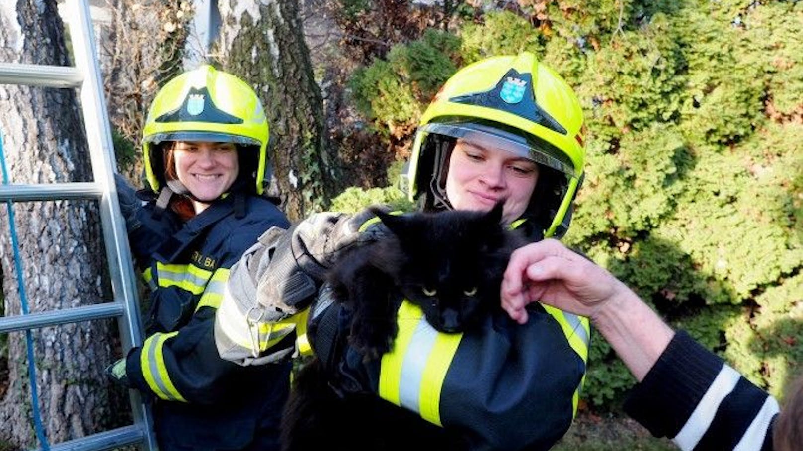 Feuerwehr rettete Katze! Samtpfote lief zum Dank davon