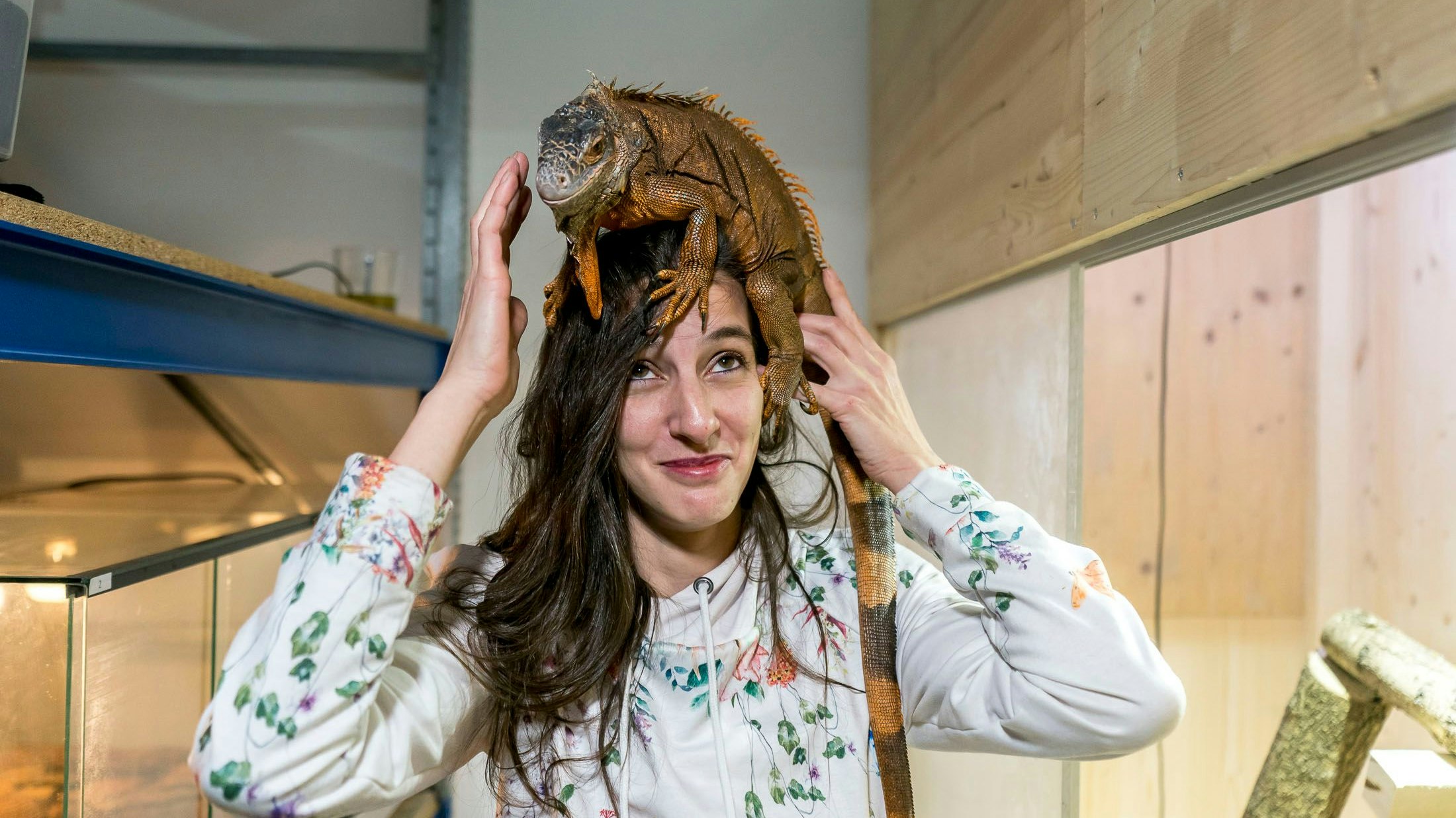 "Leguane suchen immer den höchsten Punkt", lacht Barbara Ferber, die mit "Leo of Hope" ein Tierheim für Exoten eröffnete.